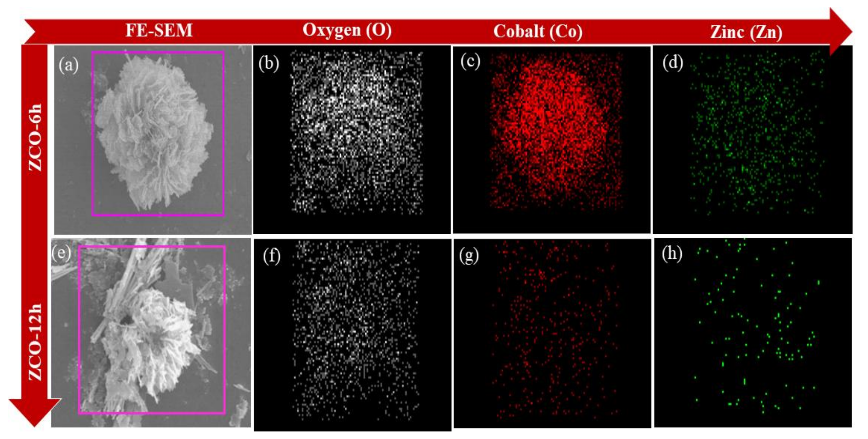 Nanomaterials 10 01206 g003