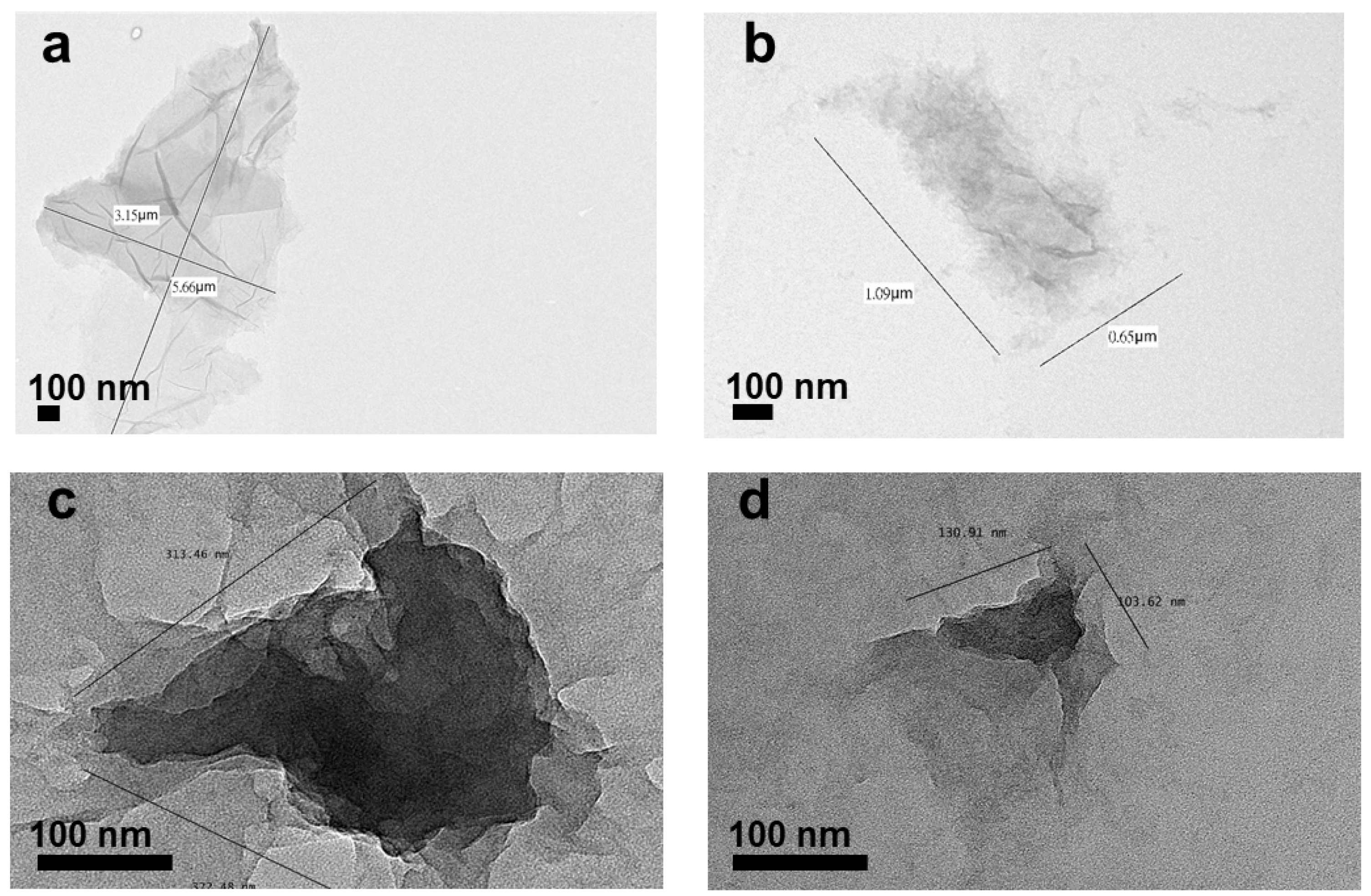 Nanomaterials 10 01207 g002