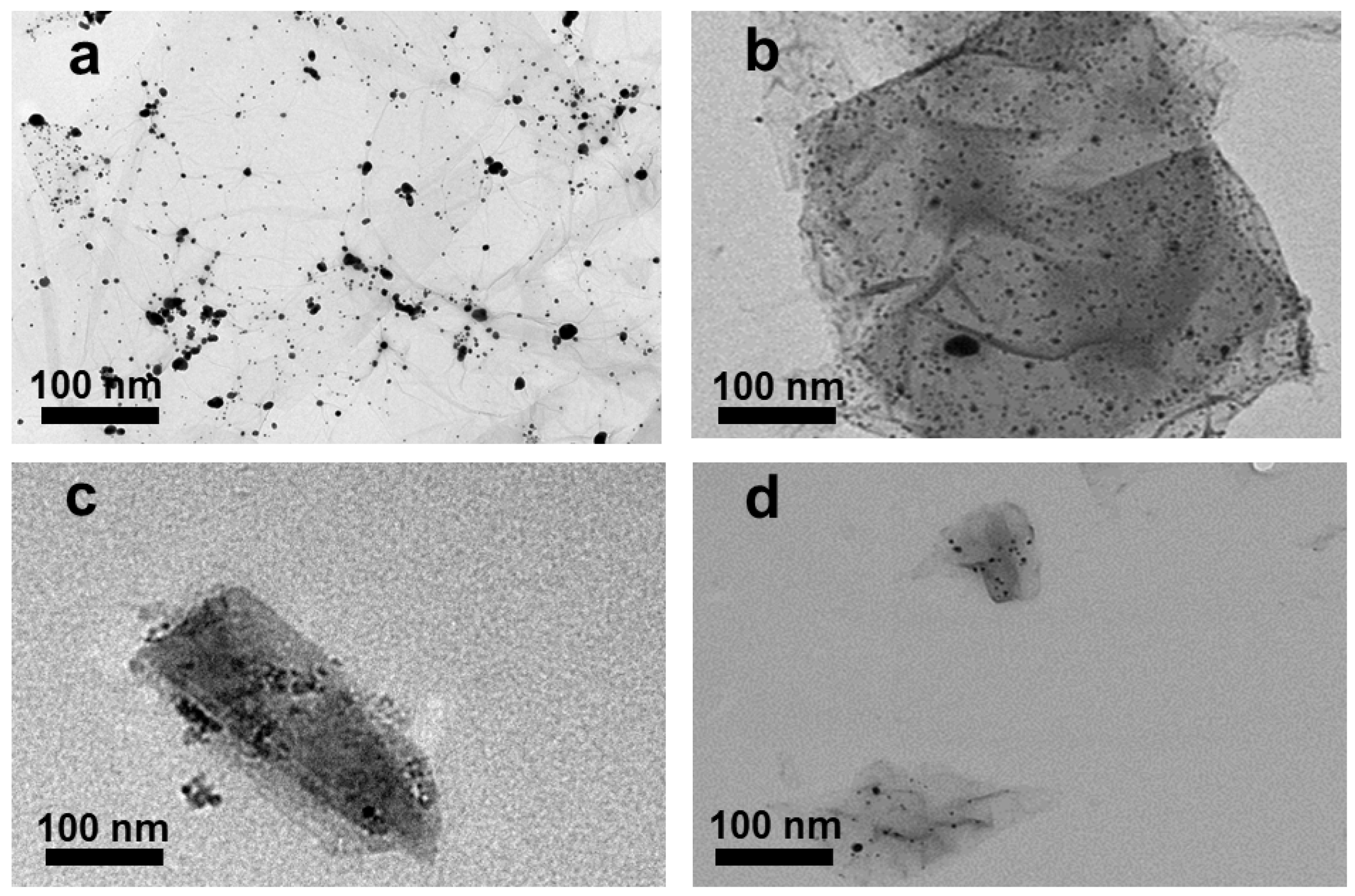 Nanomaterials 10 01207 g004