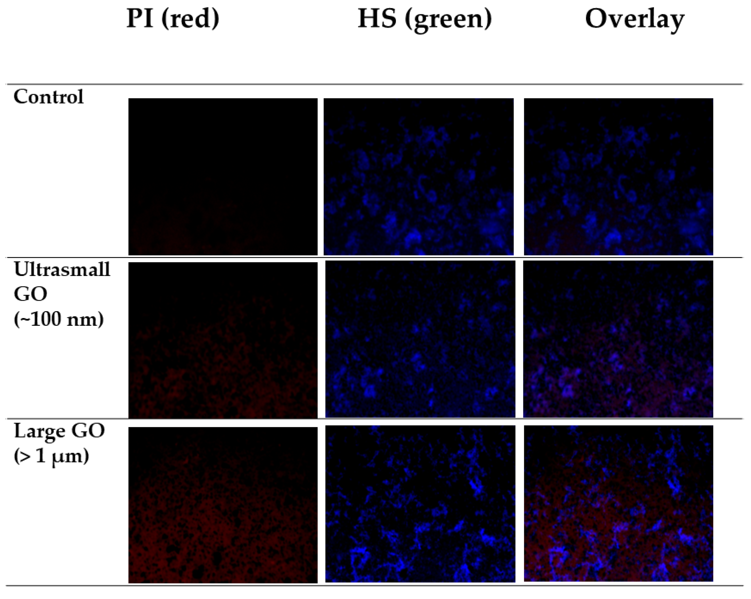 Nanomaterials 10 01207 g008