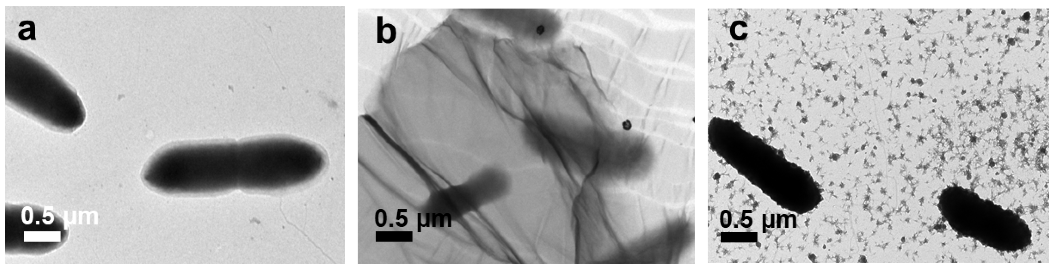 Nanomaterials 10 01207 g009