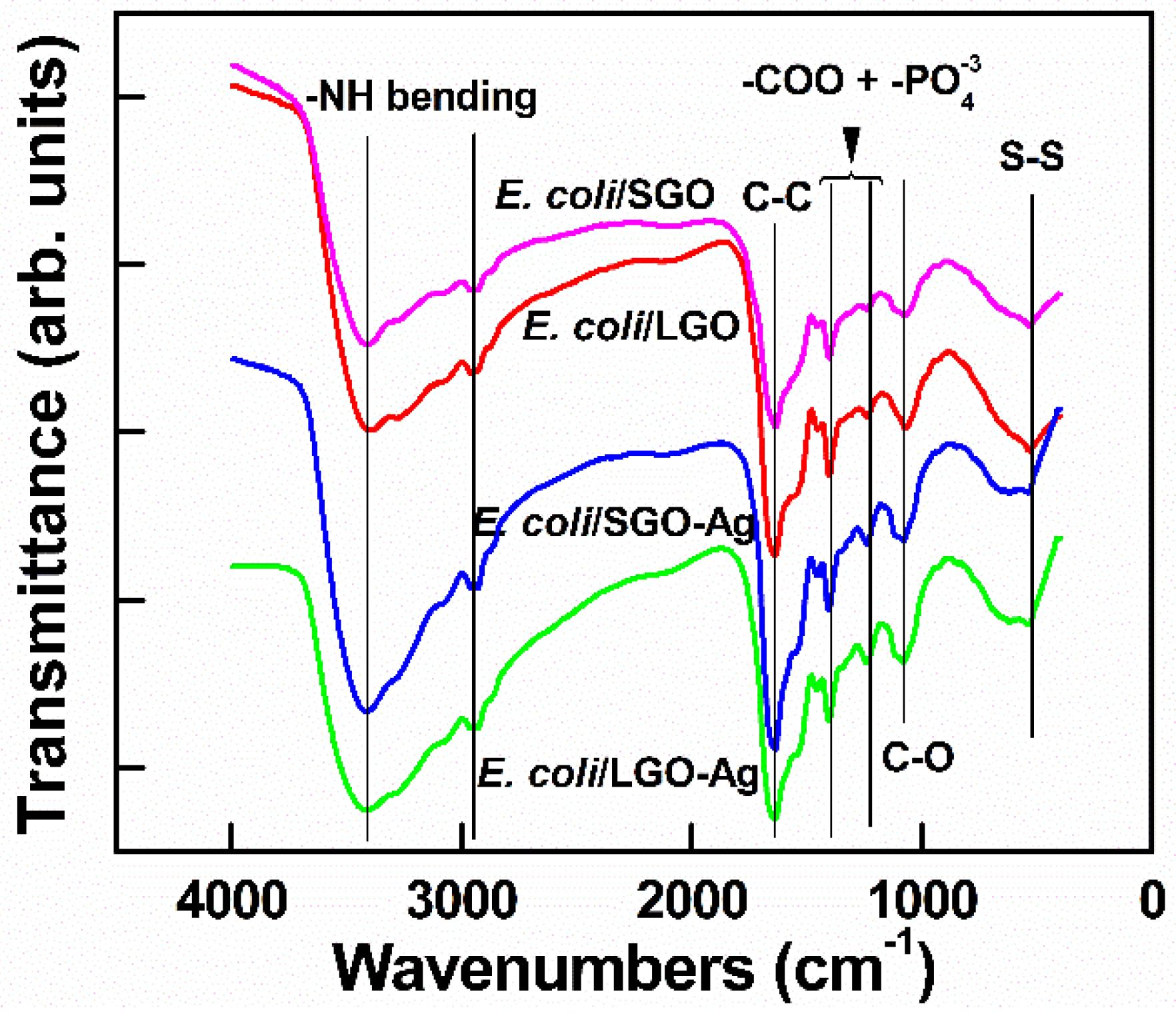 Nanomaterials 10 01207 g011