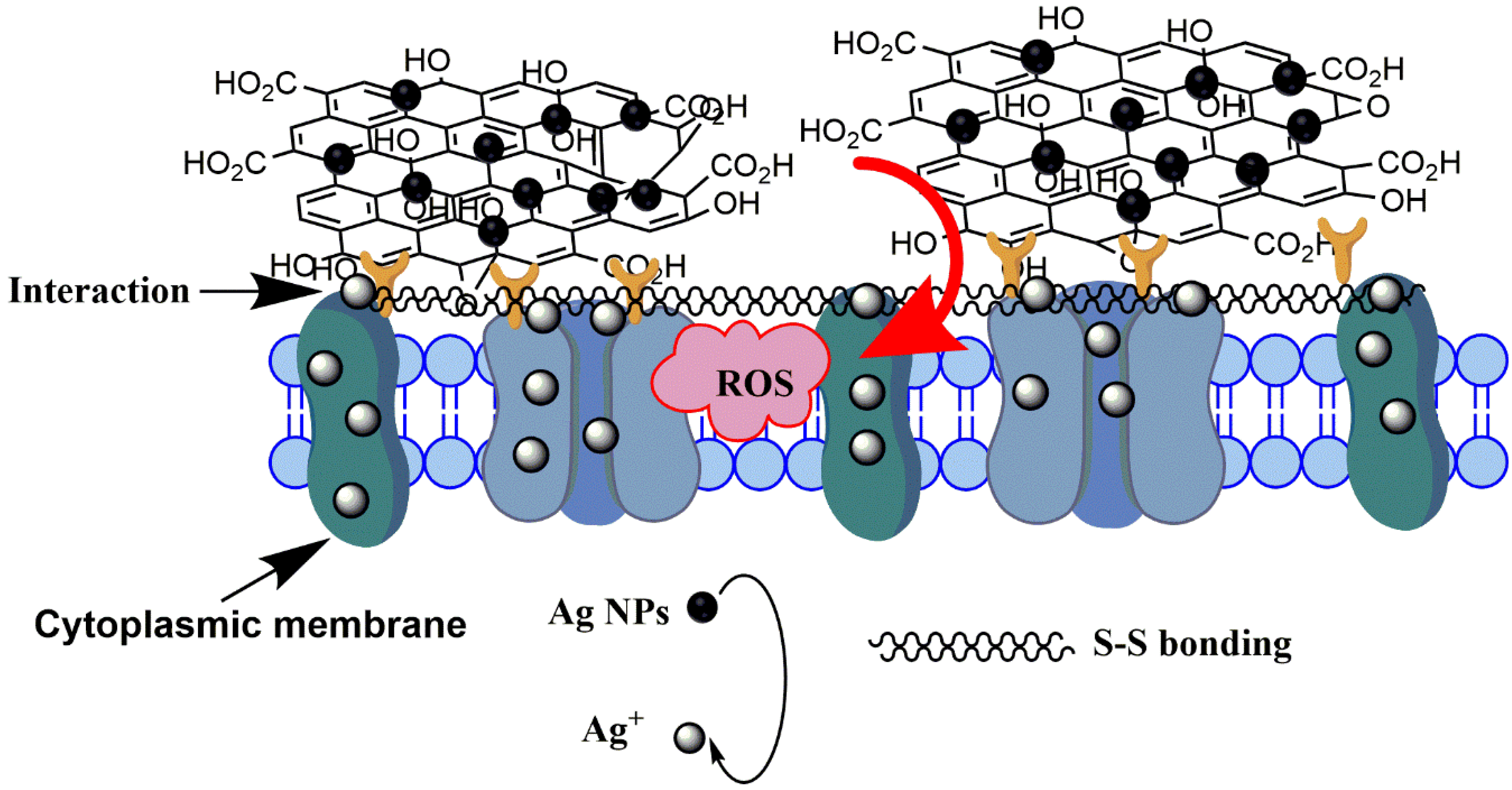 Nanomaterials 10 01207 g014