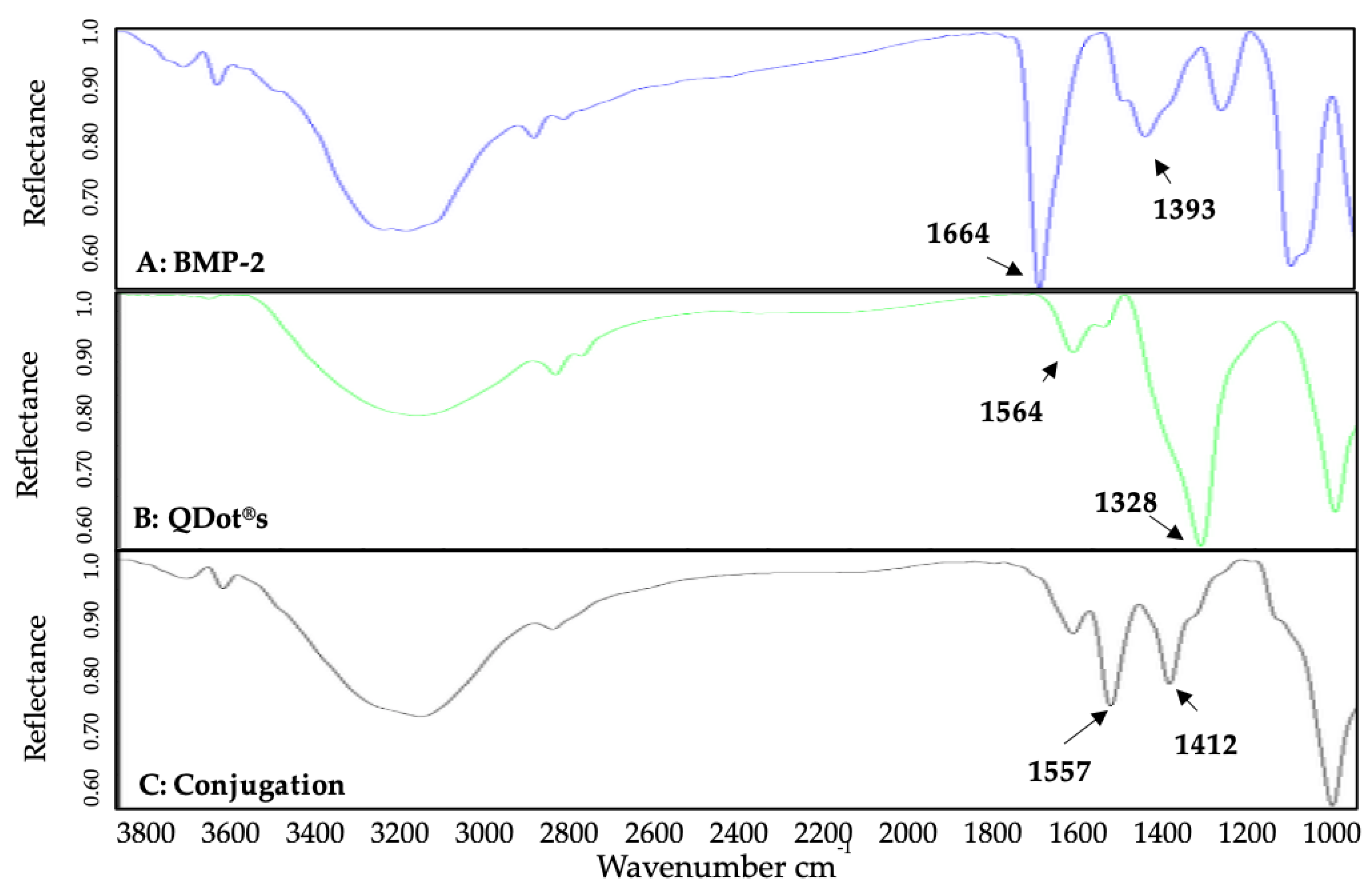 Nanomaterials 10 01208 g002