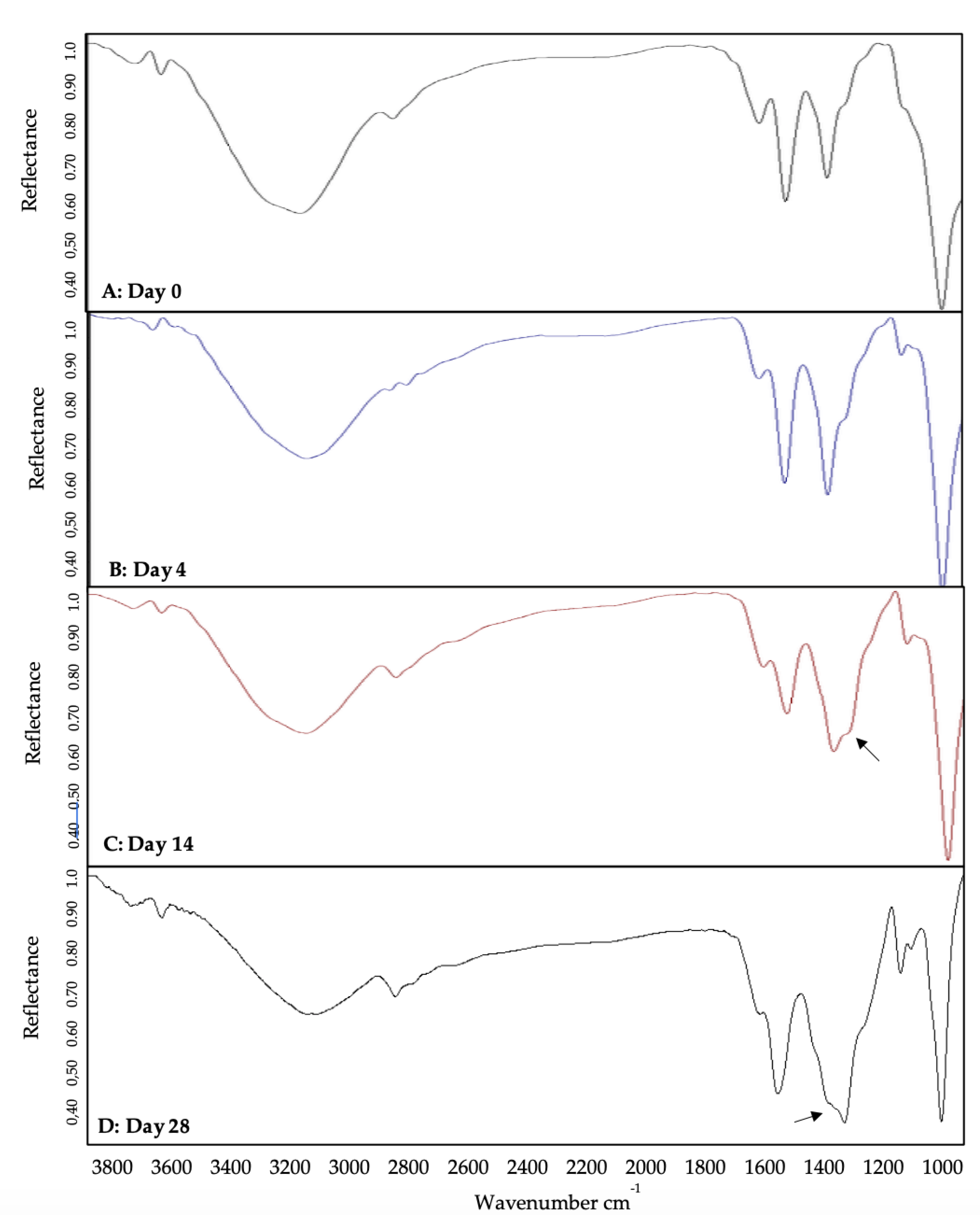 Nanomaterials 10 01208 g003