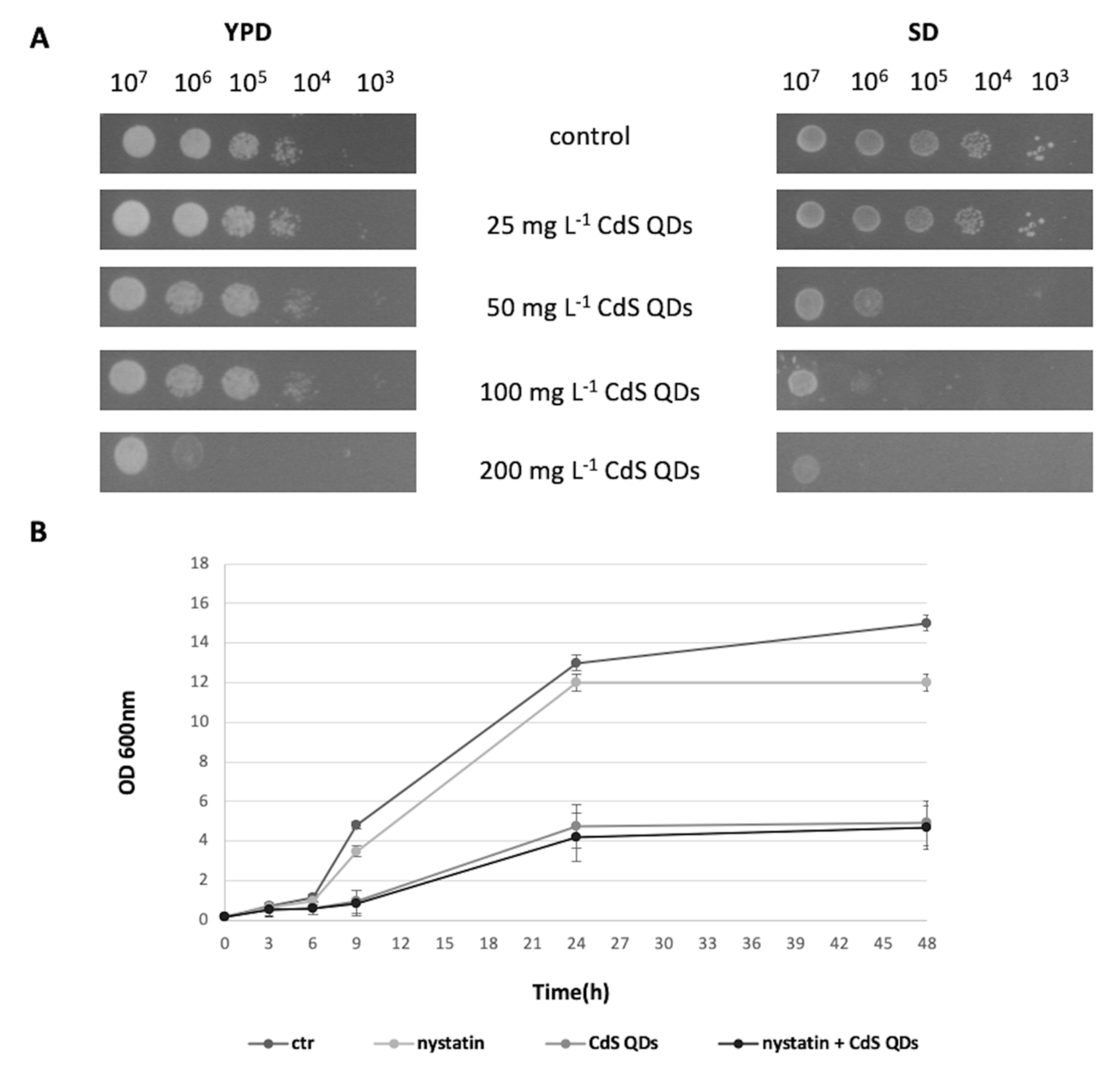 Nanomaterials 10 01214 g001