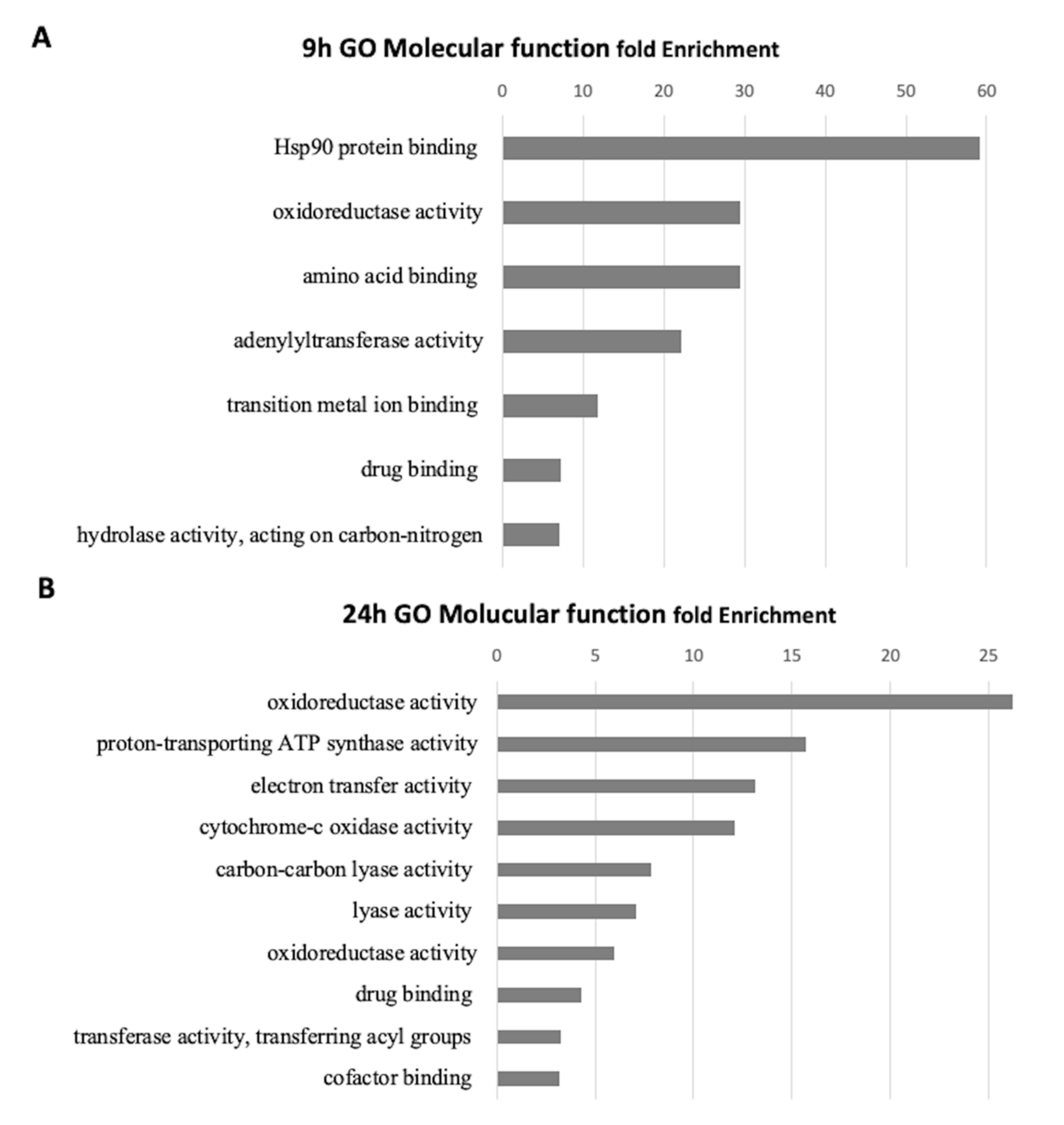 Nanomaterials 10 01214 g004