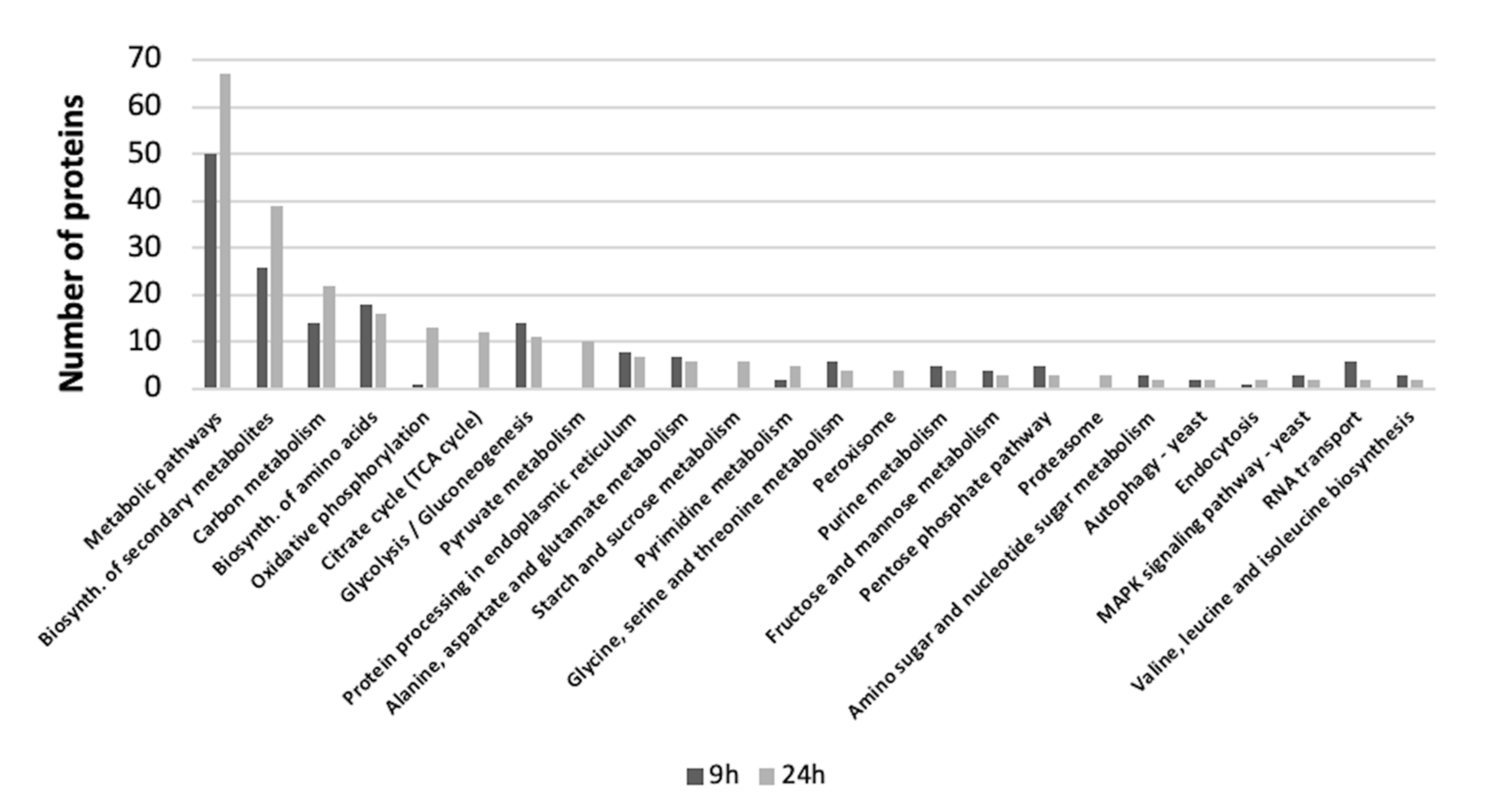 Nanomaterials 10 01214 g005
