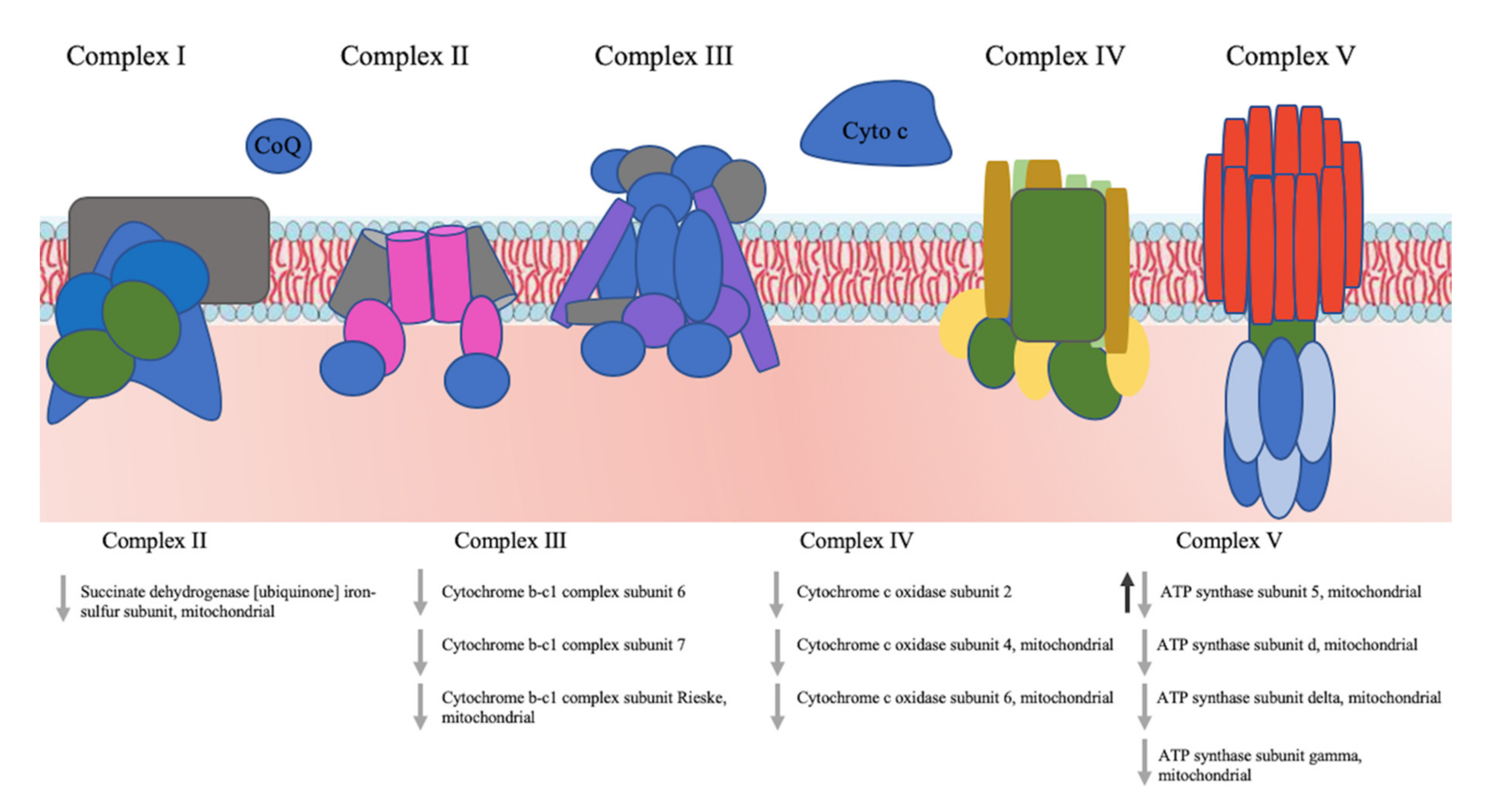 Nanomaterials 10 01214 g008