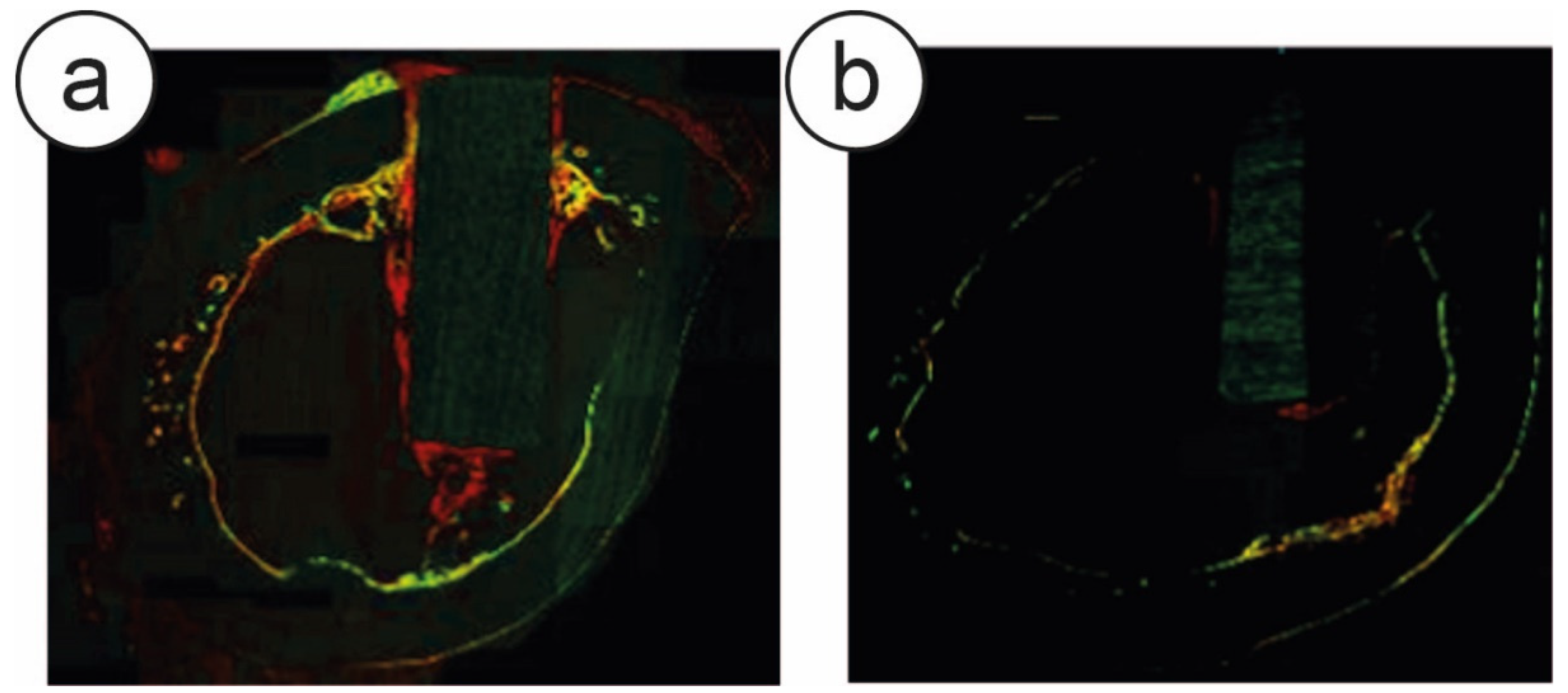 Nanomaterials 10 01233 g002
