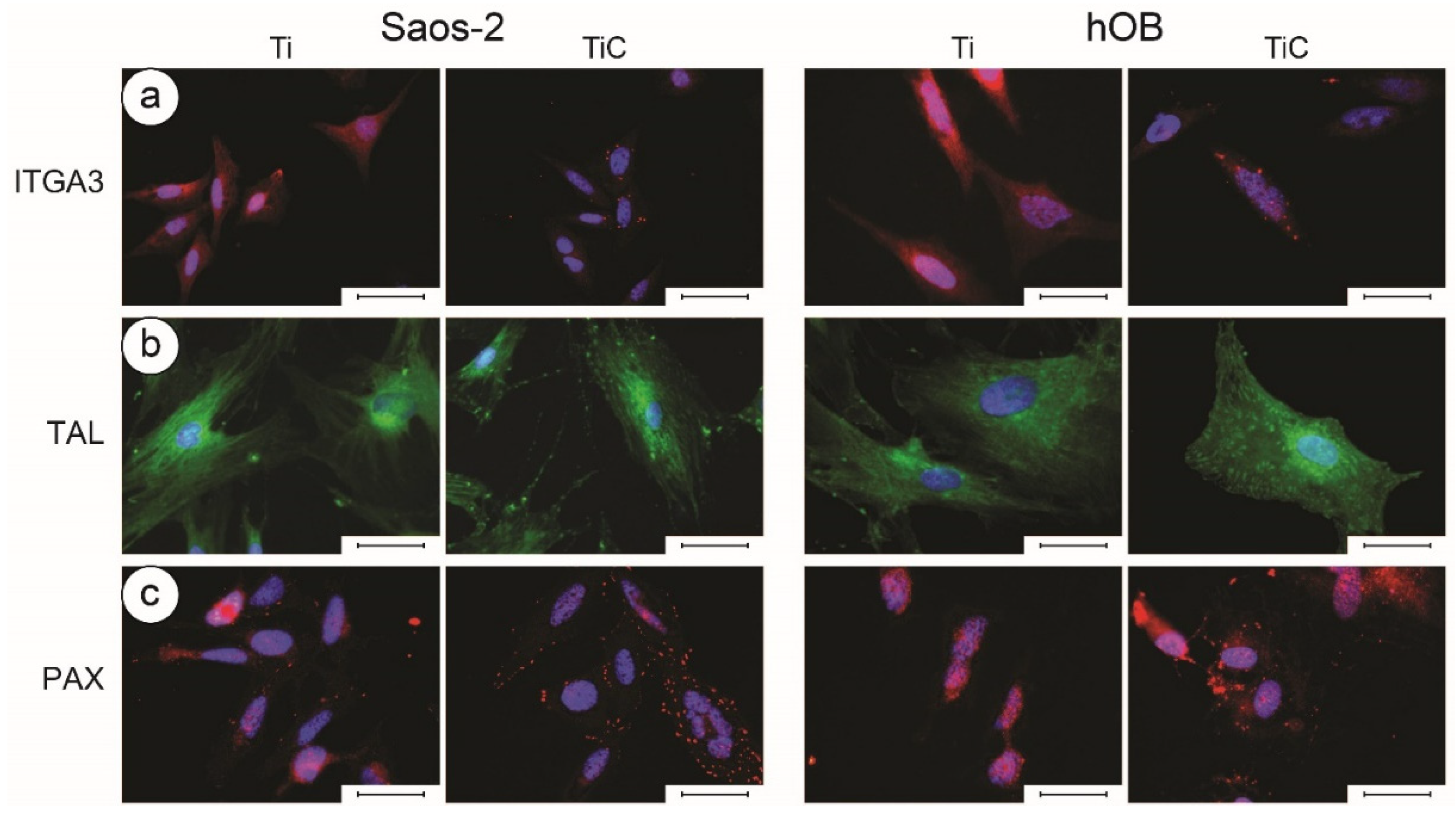 Nanomaterials 10 01233 g006