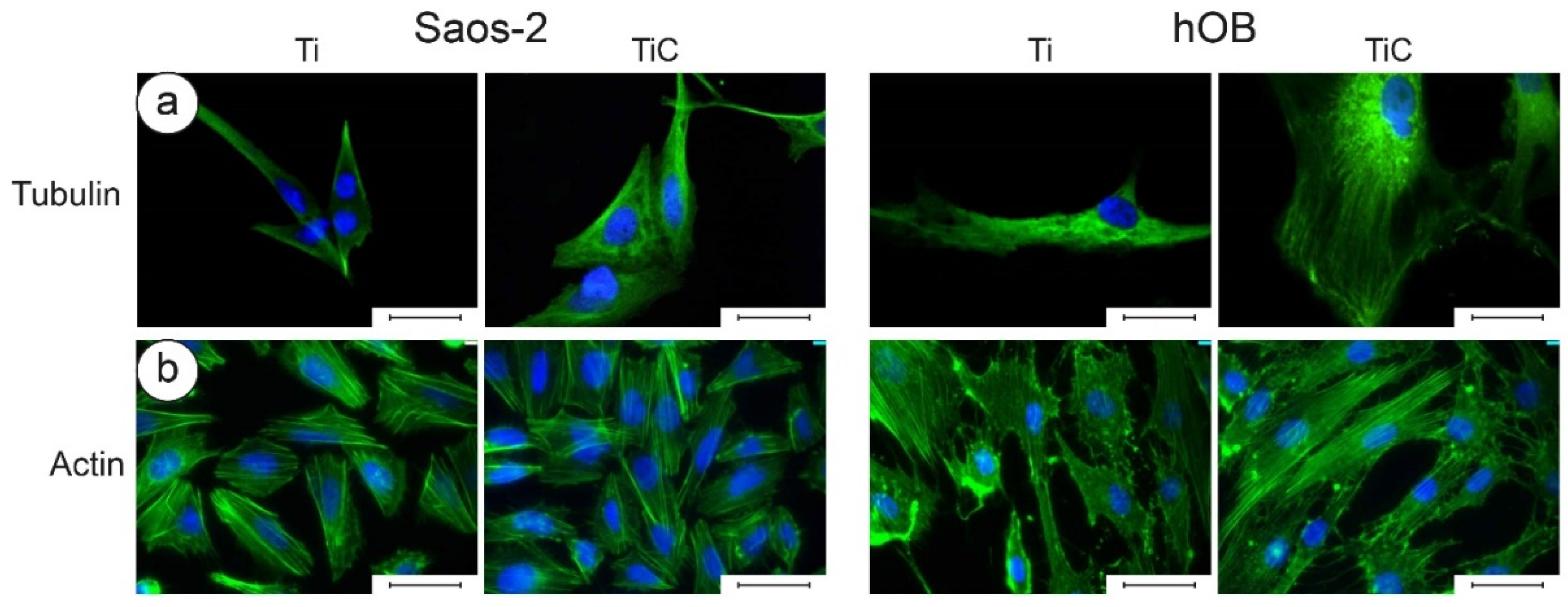 Nanomaterials 10 01233 g007