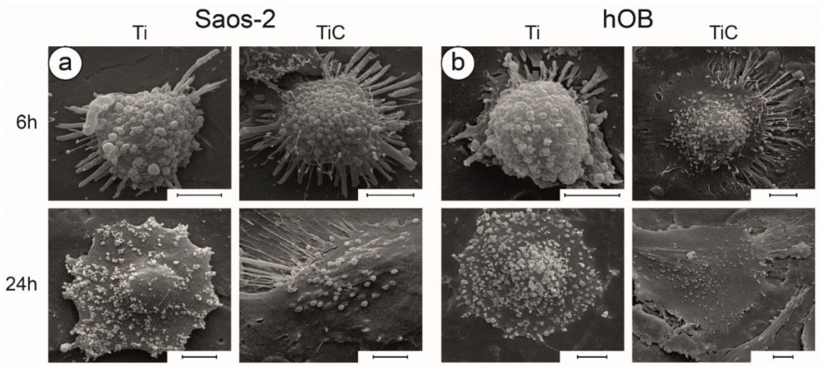 Nanomaterials 10 01233 g008