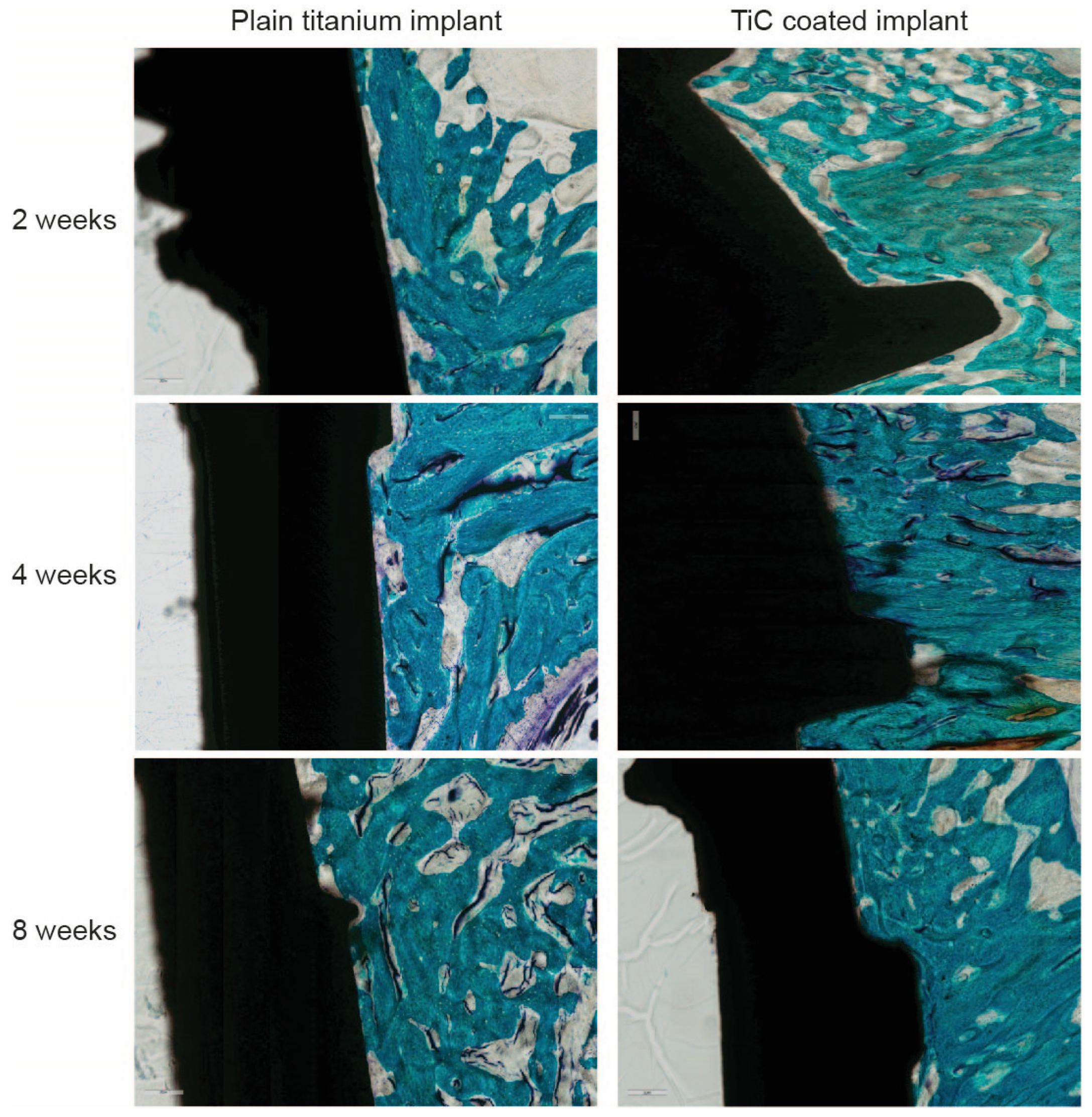 Nanomaterials 10 01233 g009