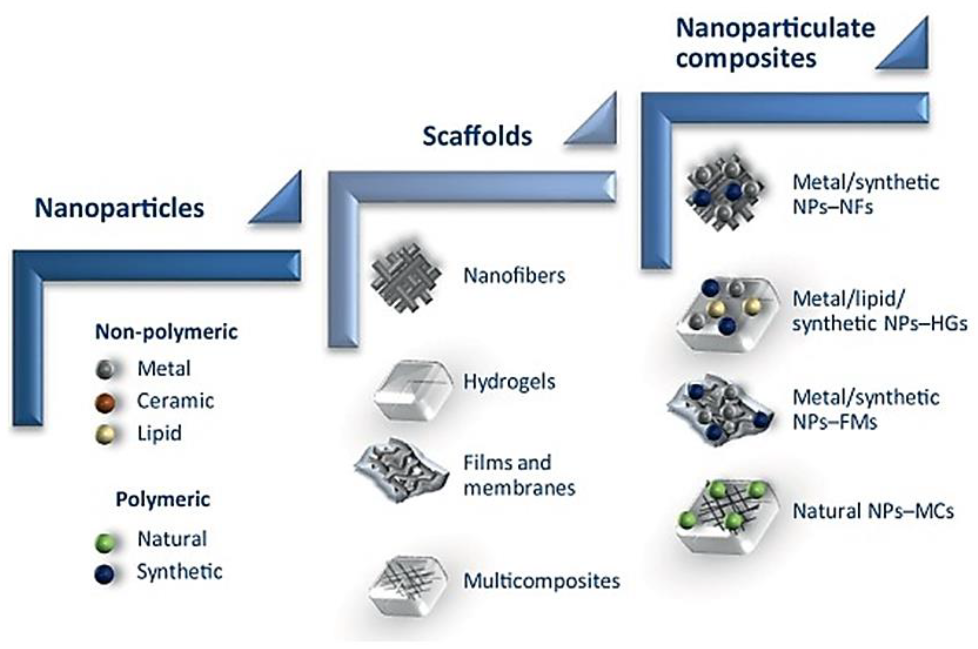 Nanomaterials 10 01234 g005
