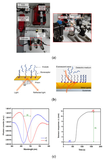 Nanomaterials 10 01246 g0a1