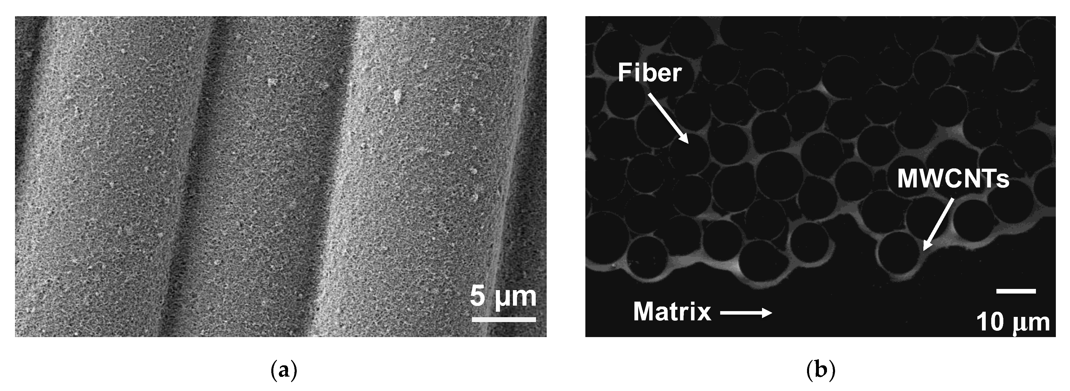 Nanomaterials 10 01262 g001