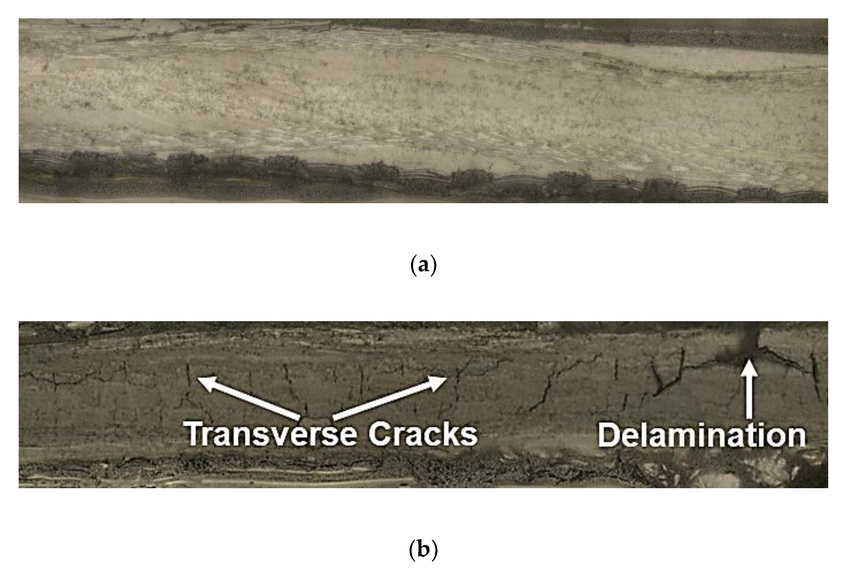 Nanomaterials 10 01262 g011