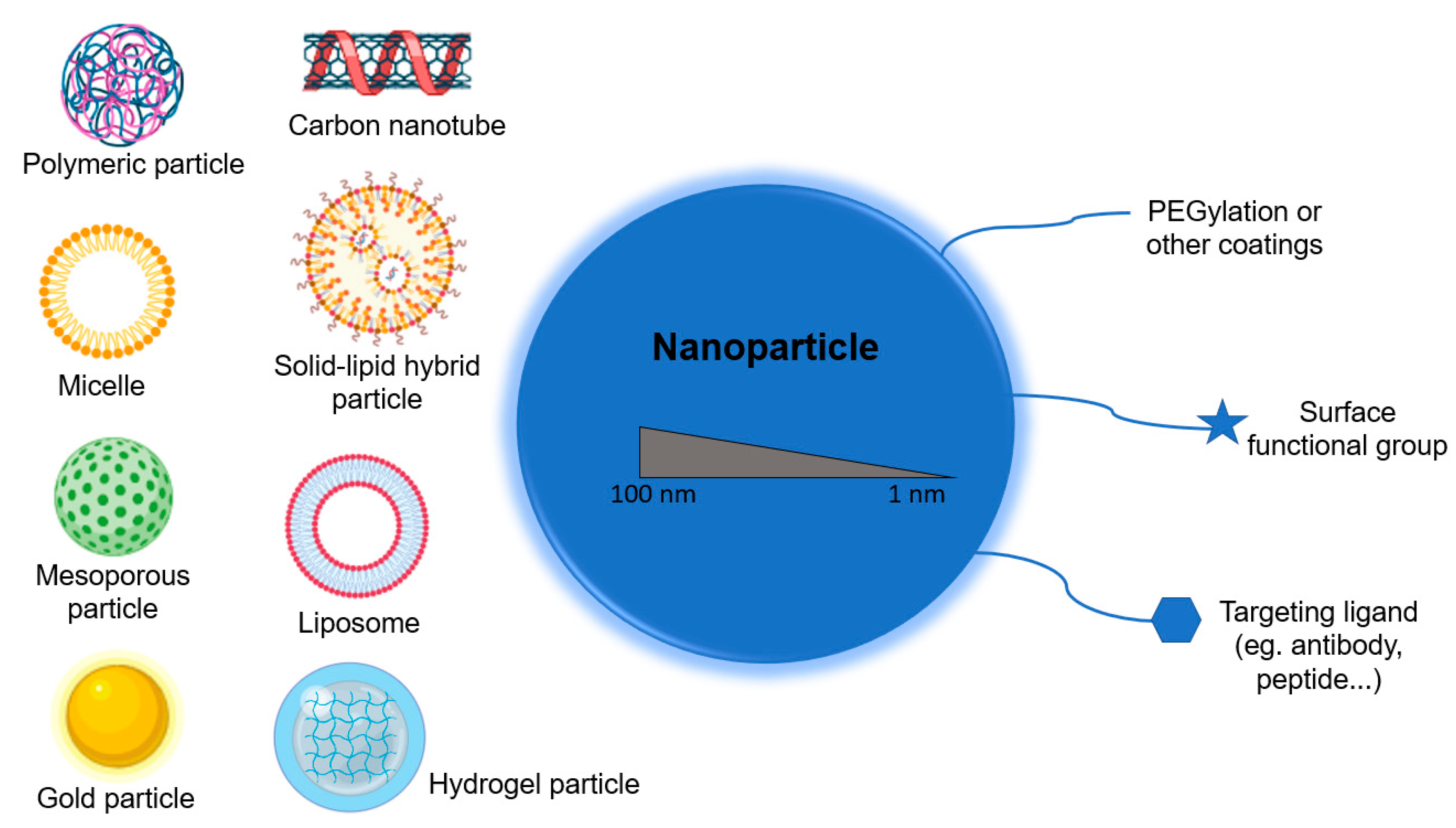 Nanomaterials 10 01274 g003