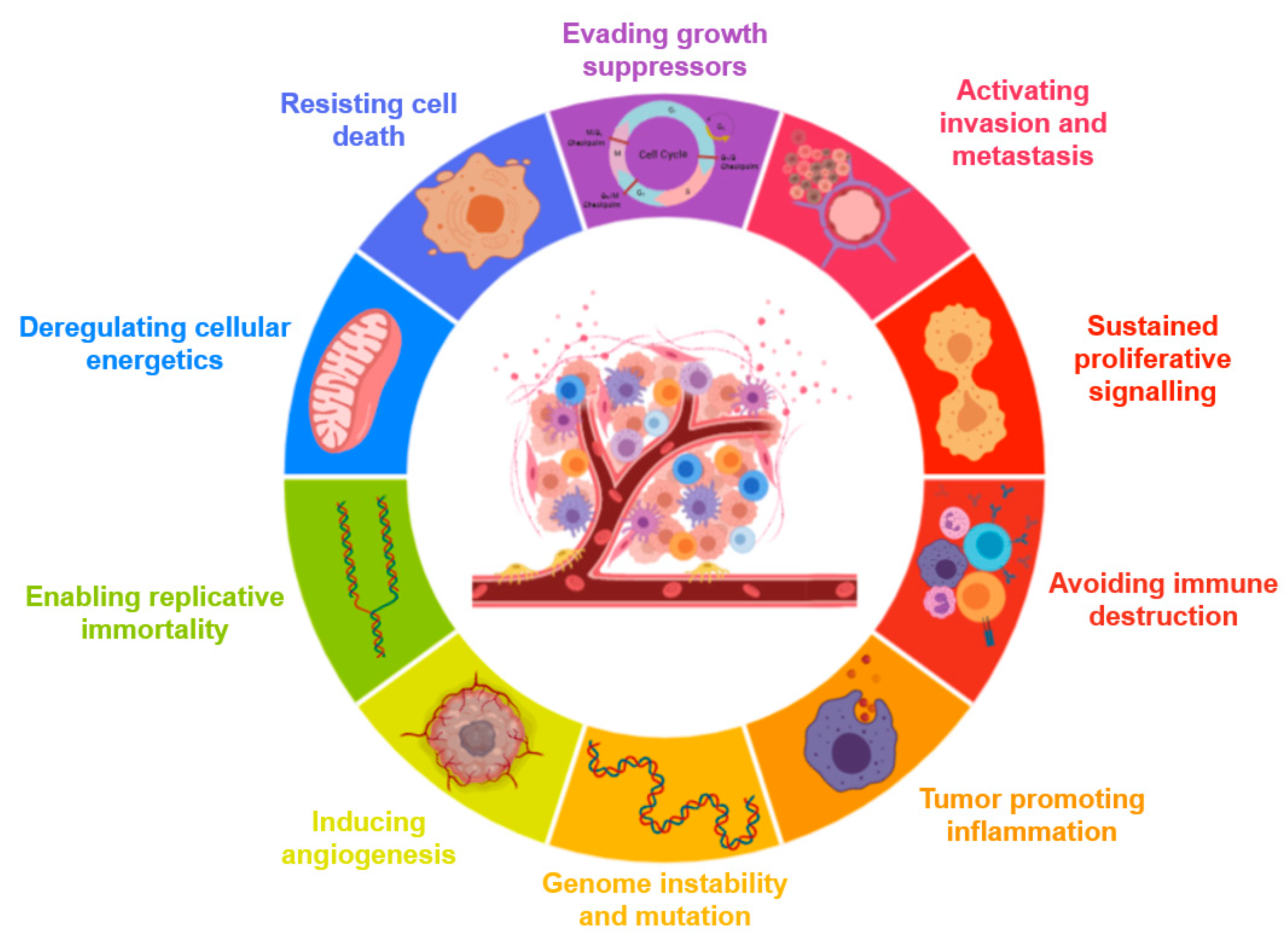 Nanomaterials 10 01274 g004