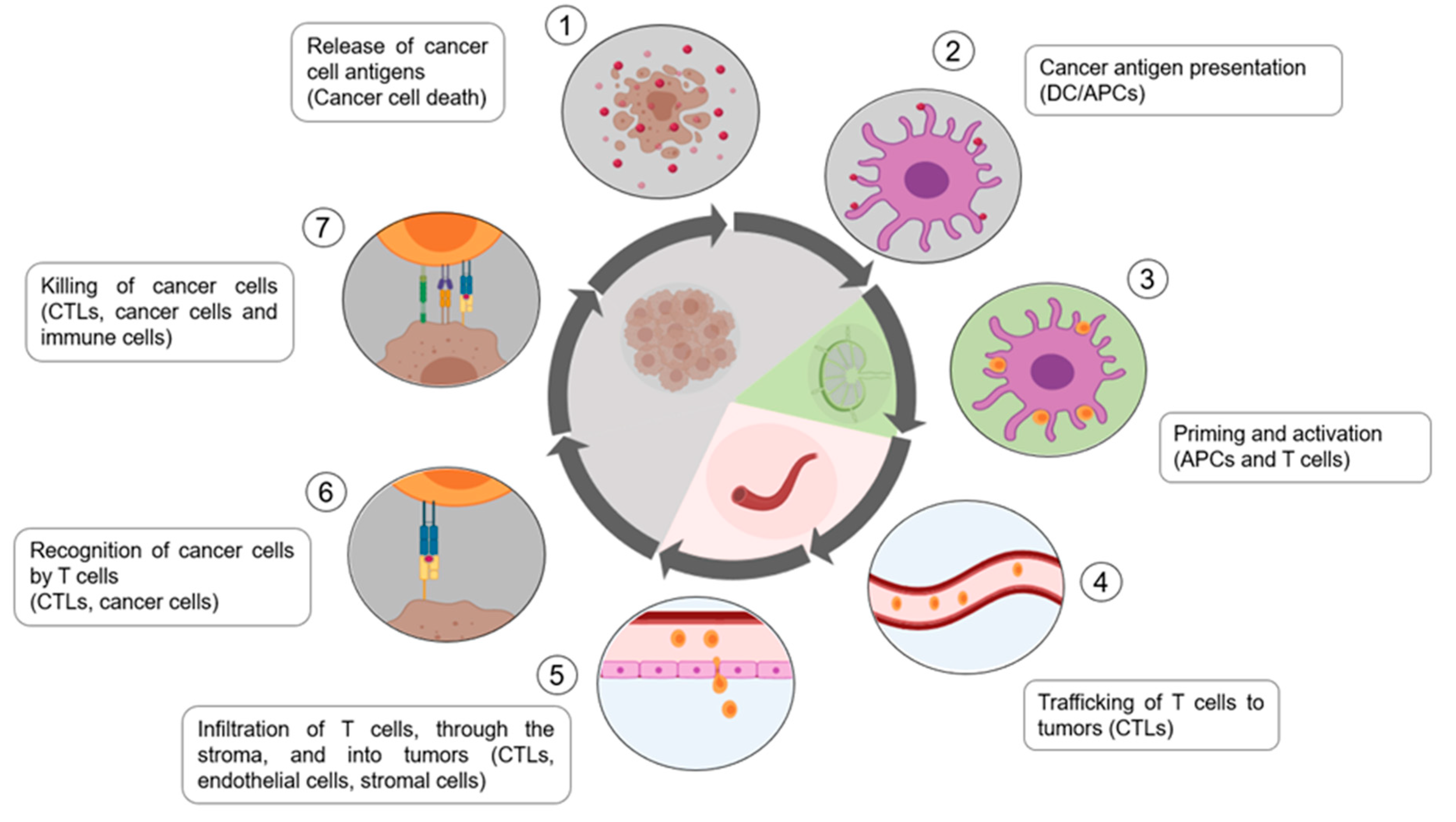 Nanomaterials 10 01274 g005