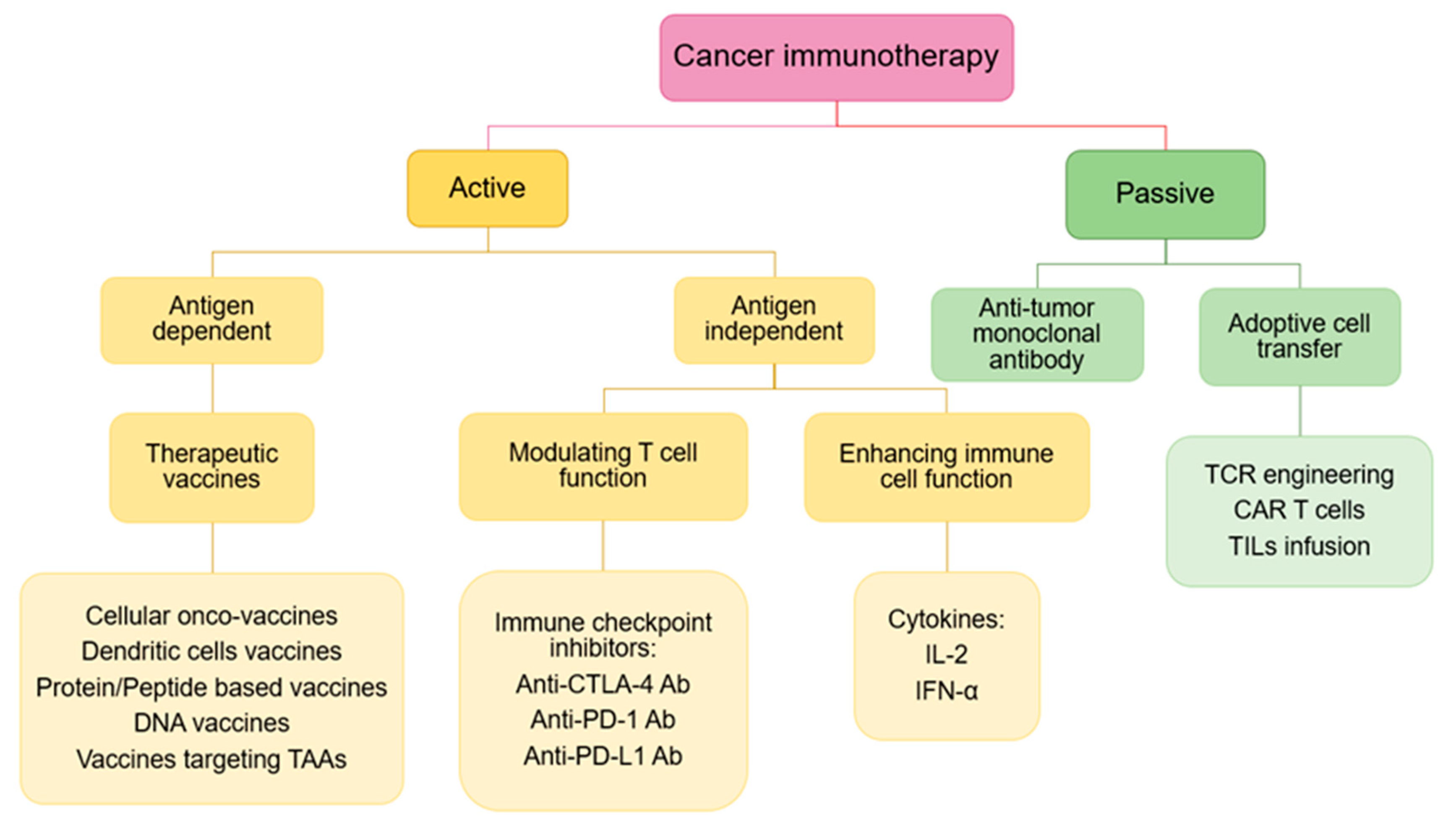 Nanomaterials 10 01274 g006