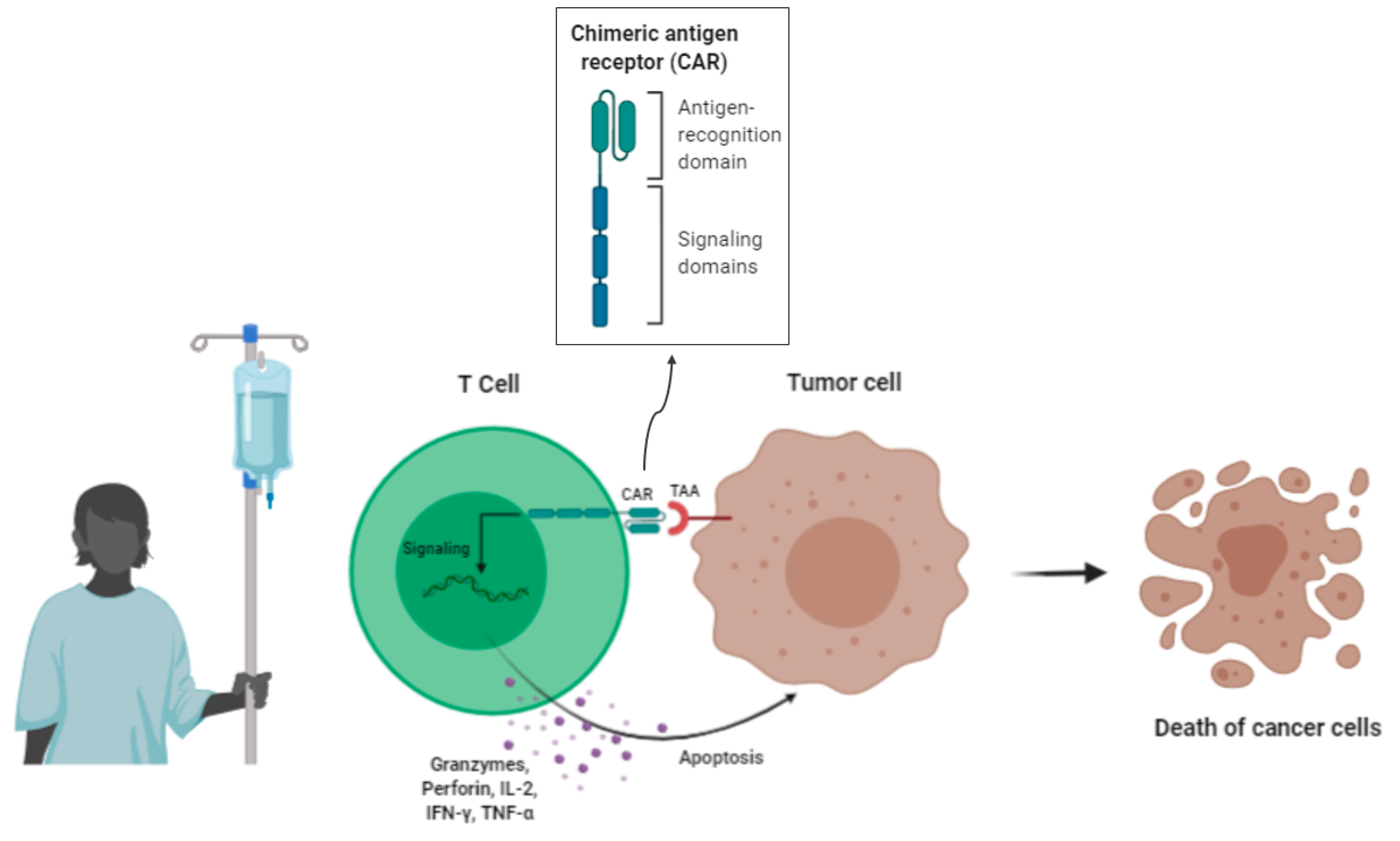 Nanomaterials 10 01274 g007