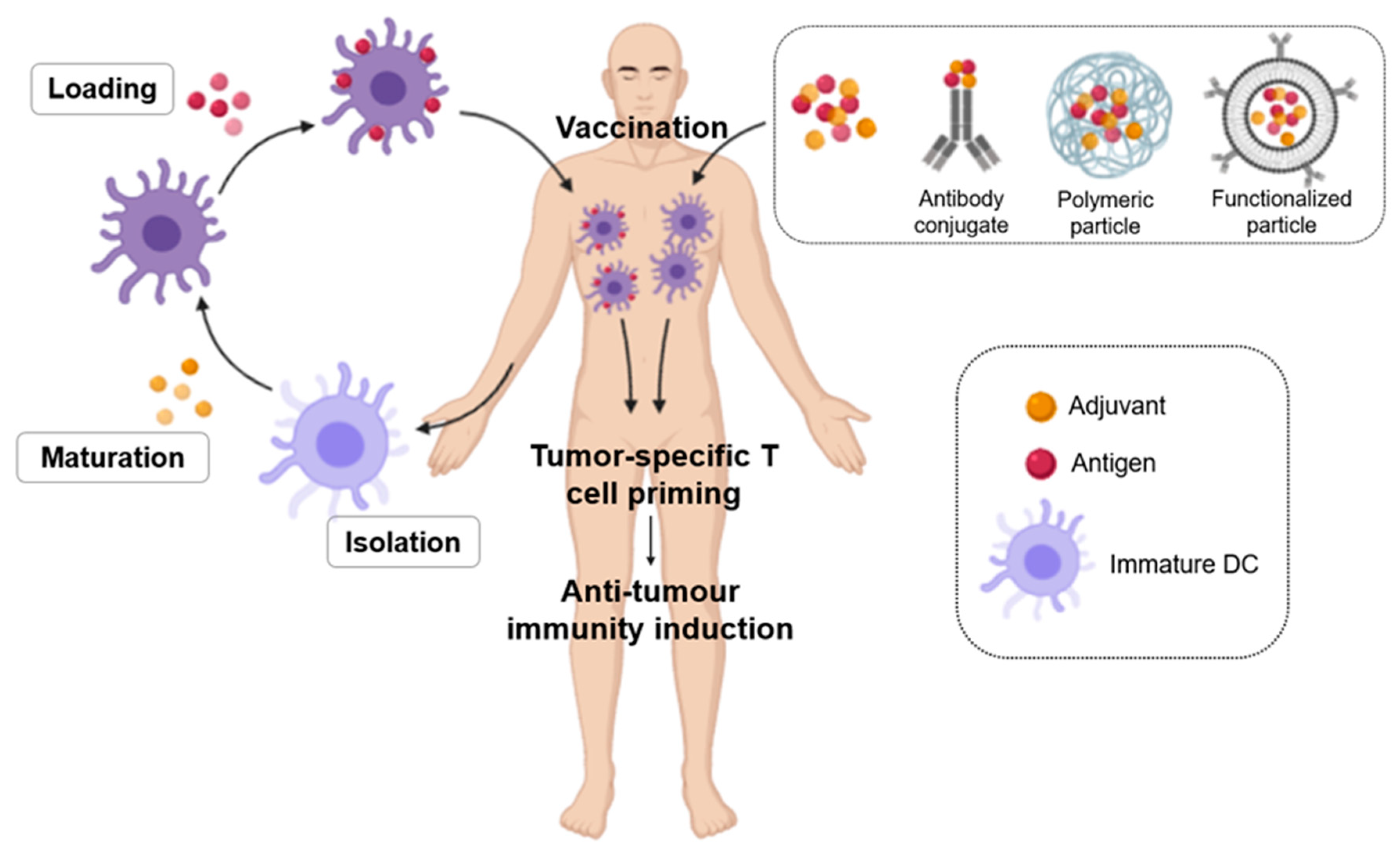 Nanomaterials 10 01274 g009