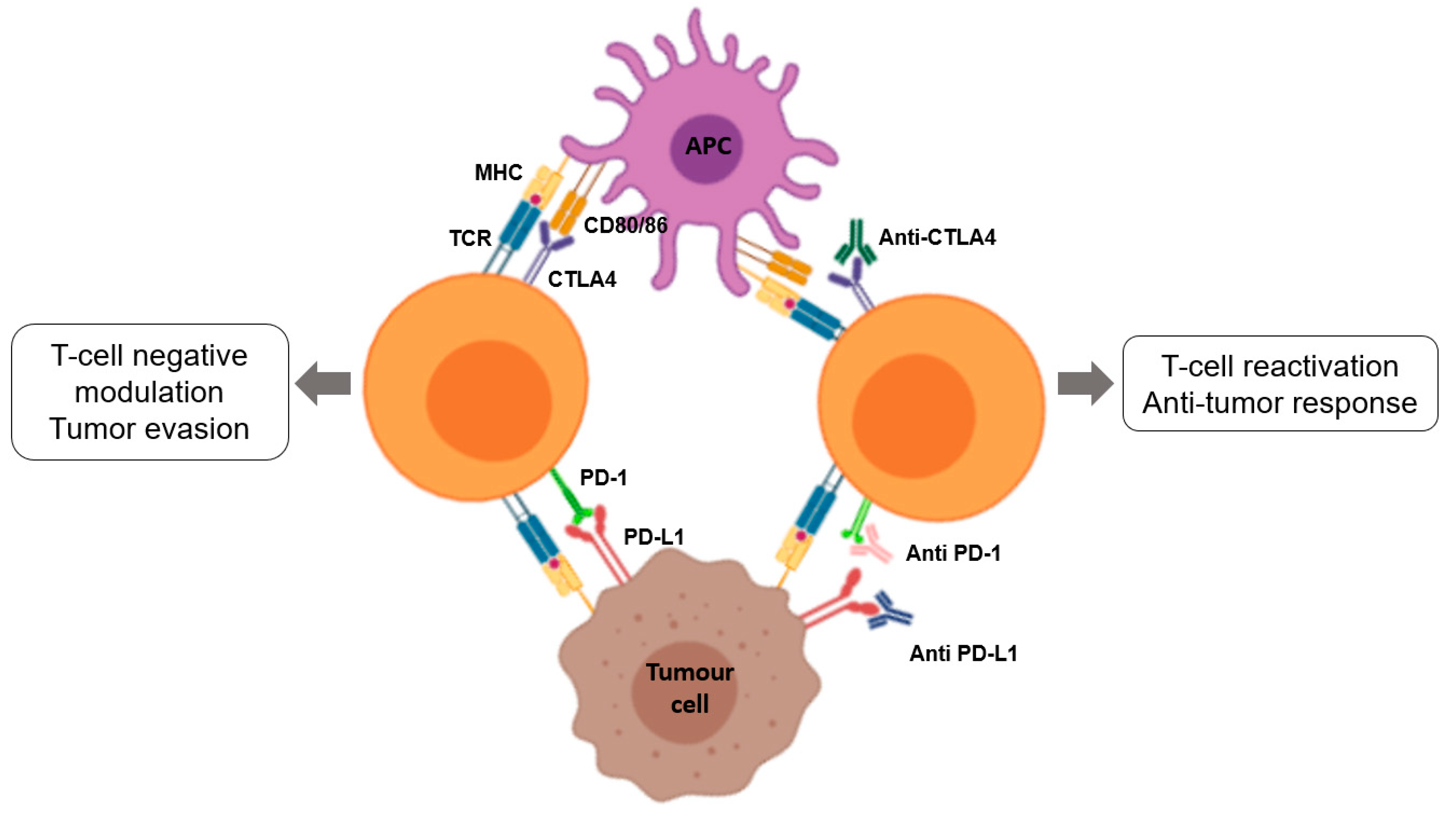 Nanomaterials 10 01274 g010