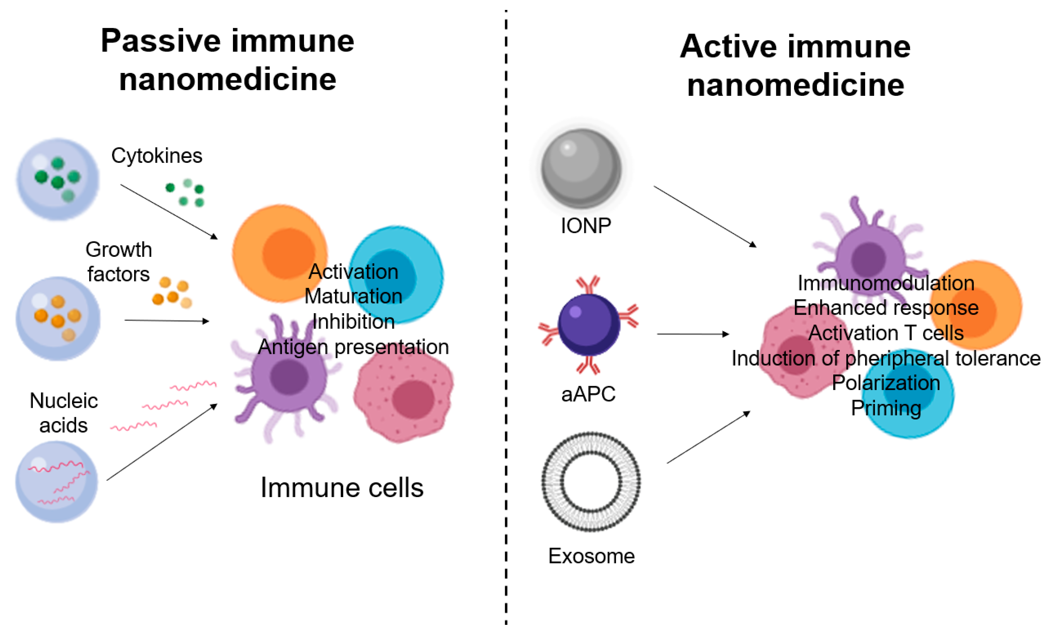 Nanomaterials 10 01274 g012