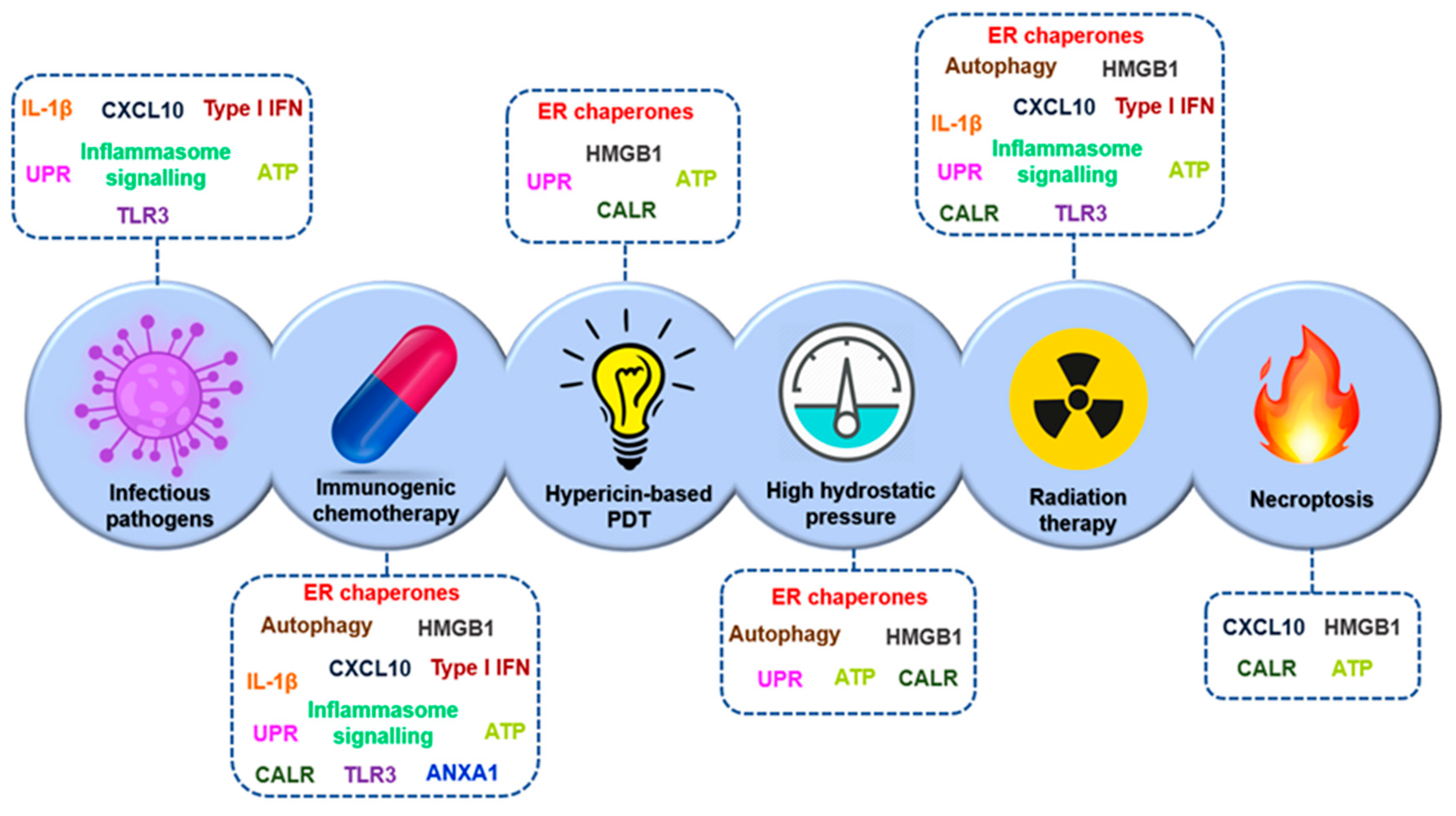 Nanomaterials 10 01274 g013