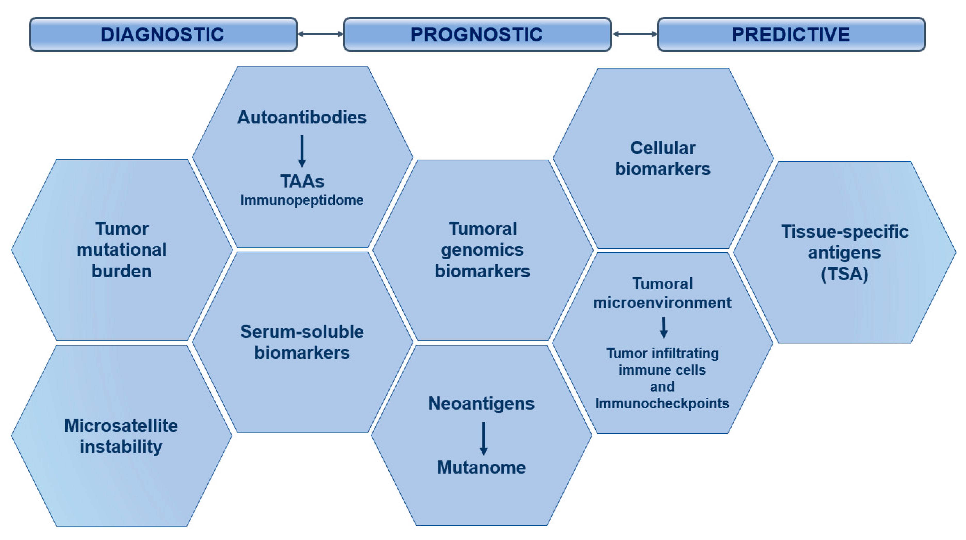 Nanomaterials 10 01274 g014