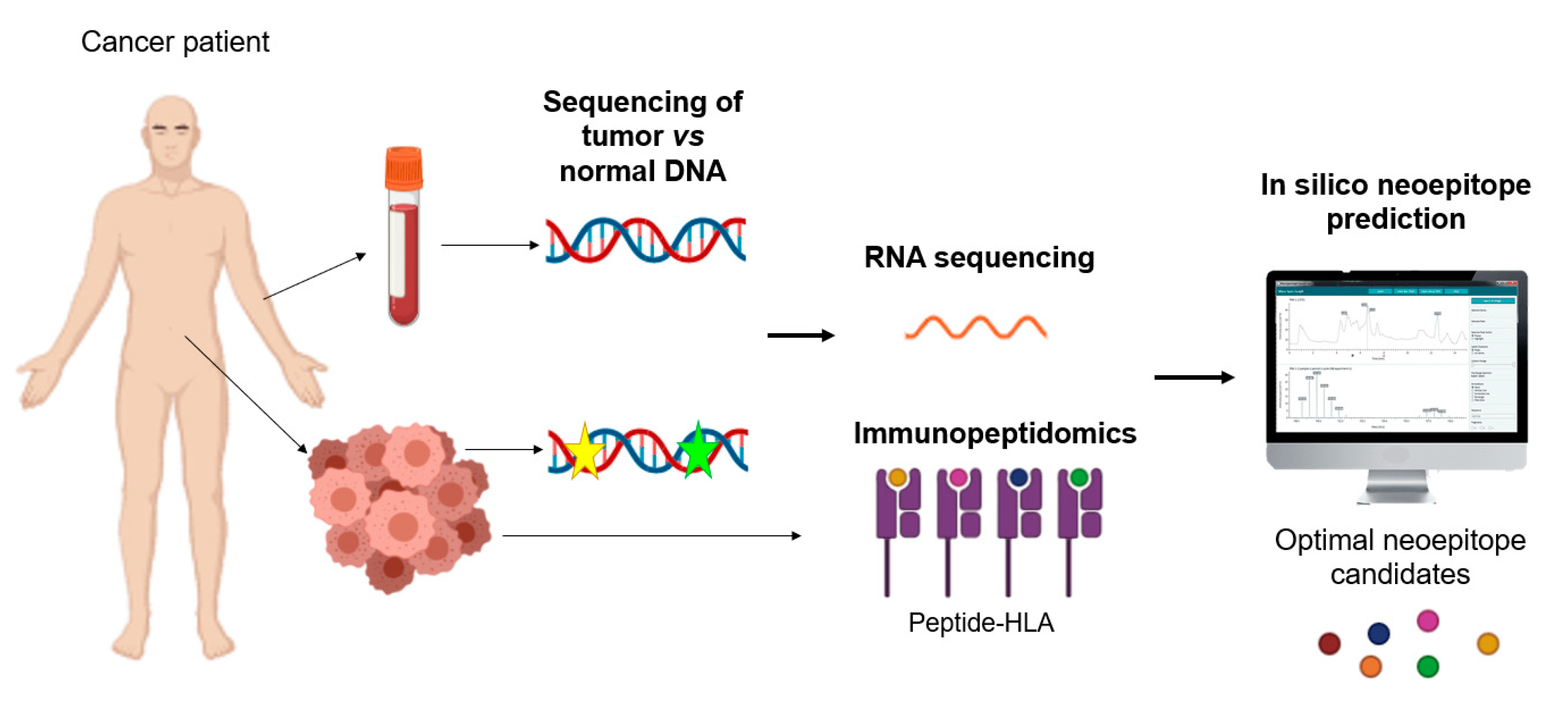 Nanomaterials 10 01274 g015