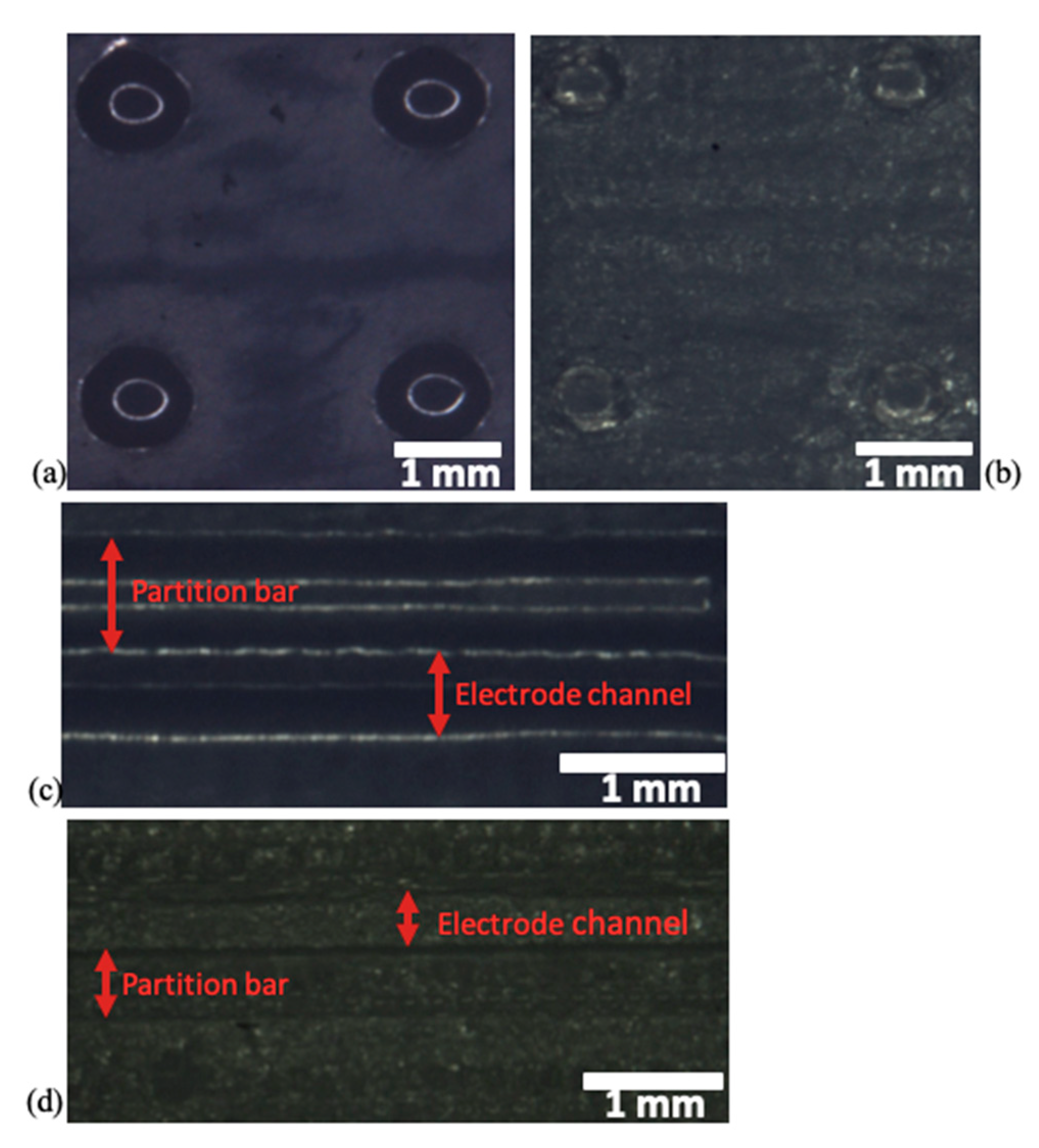 Nanomaterials 10 01277 g004 Nanomaterials 10 01277 g004