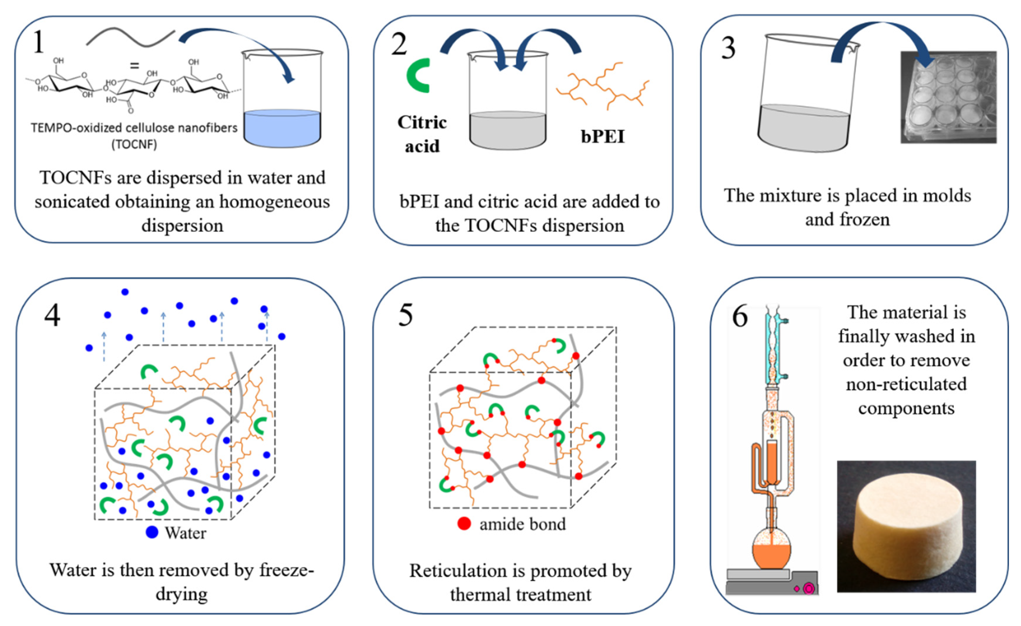 Nanomaterials 10 01283 g001