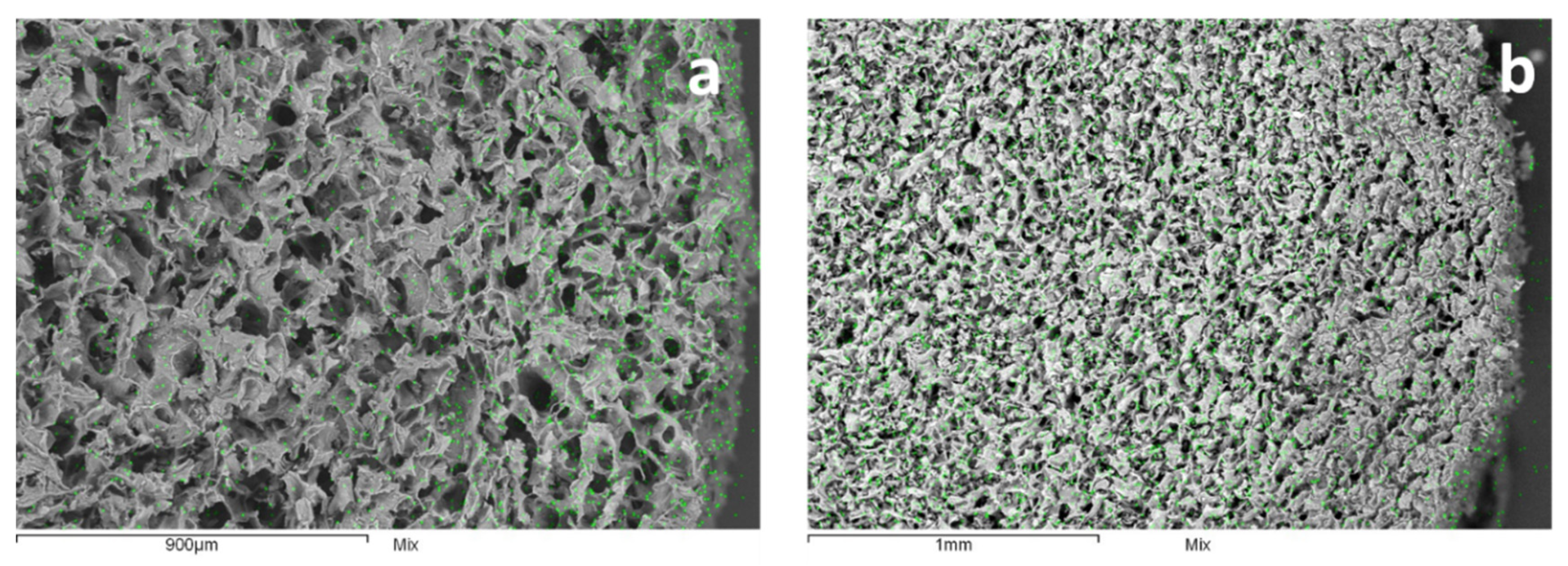 Nanomaterials 10 01283 g003