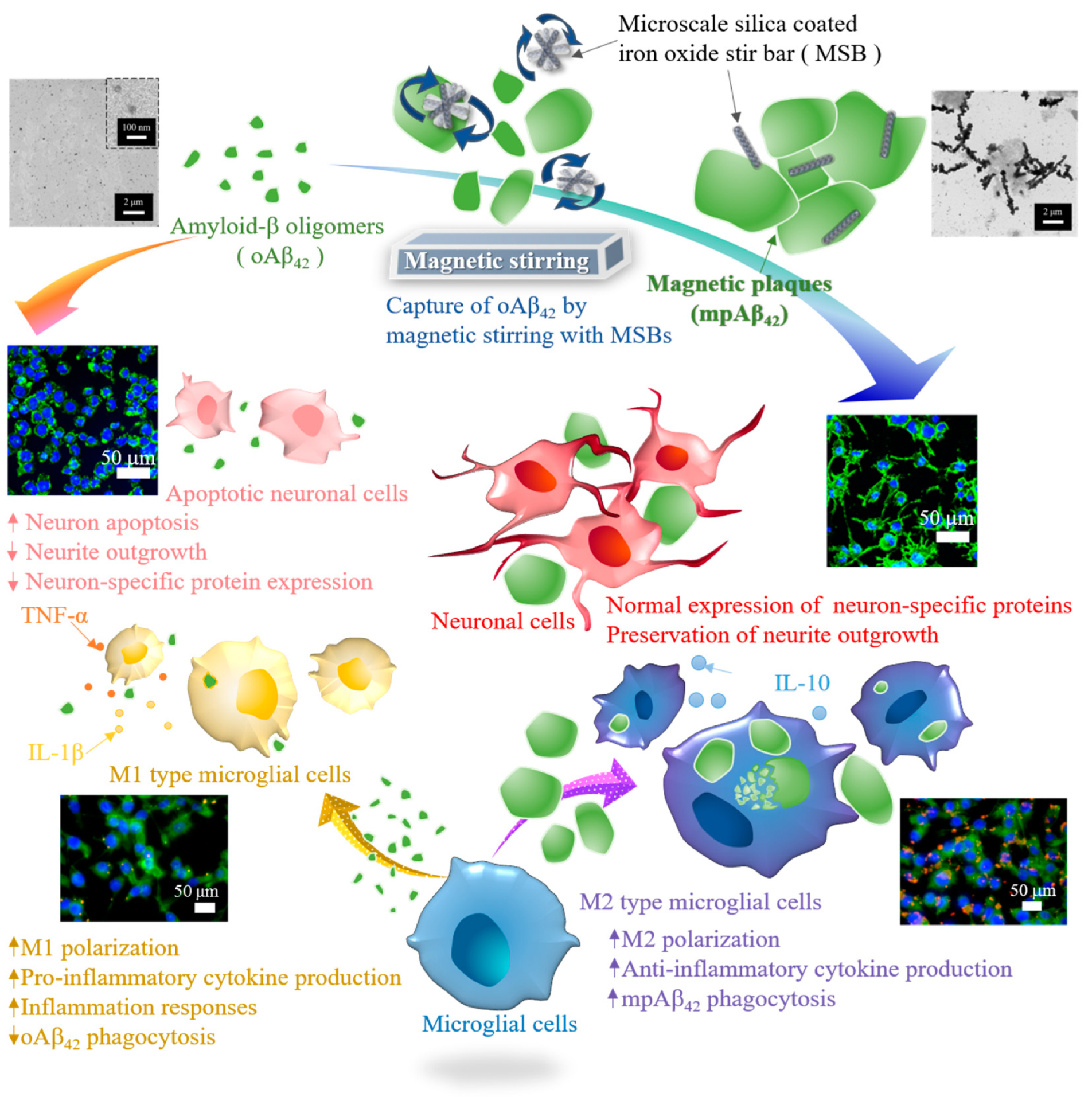 Nanomaterials 10 01284 g001 Nanomaterials 10 01284 g001