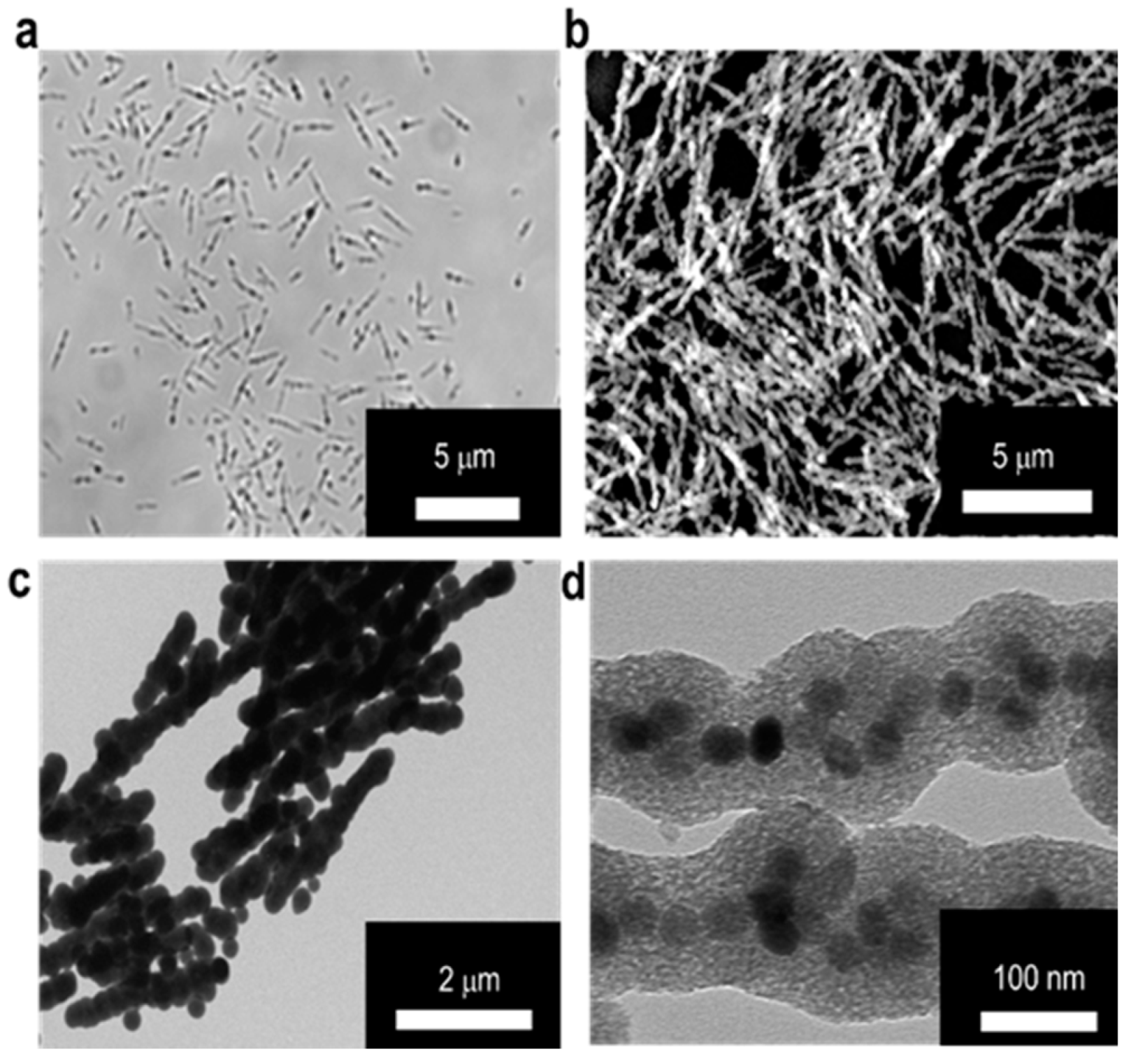 Nanomaterials 10 01284 g002 Nanomaterials 10 01284 g002