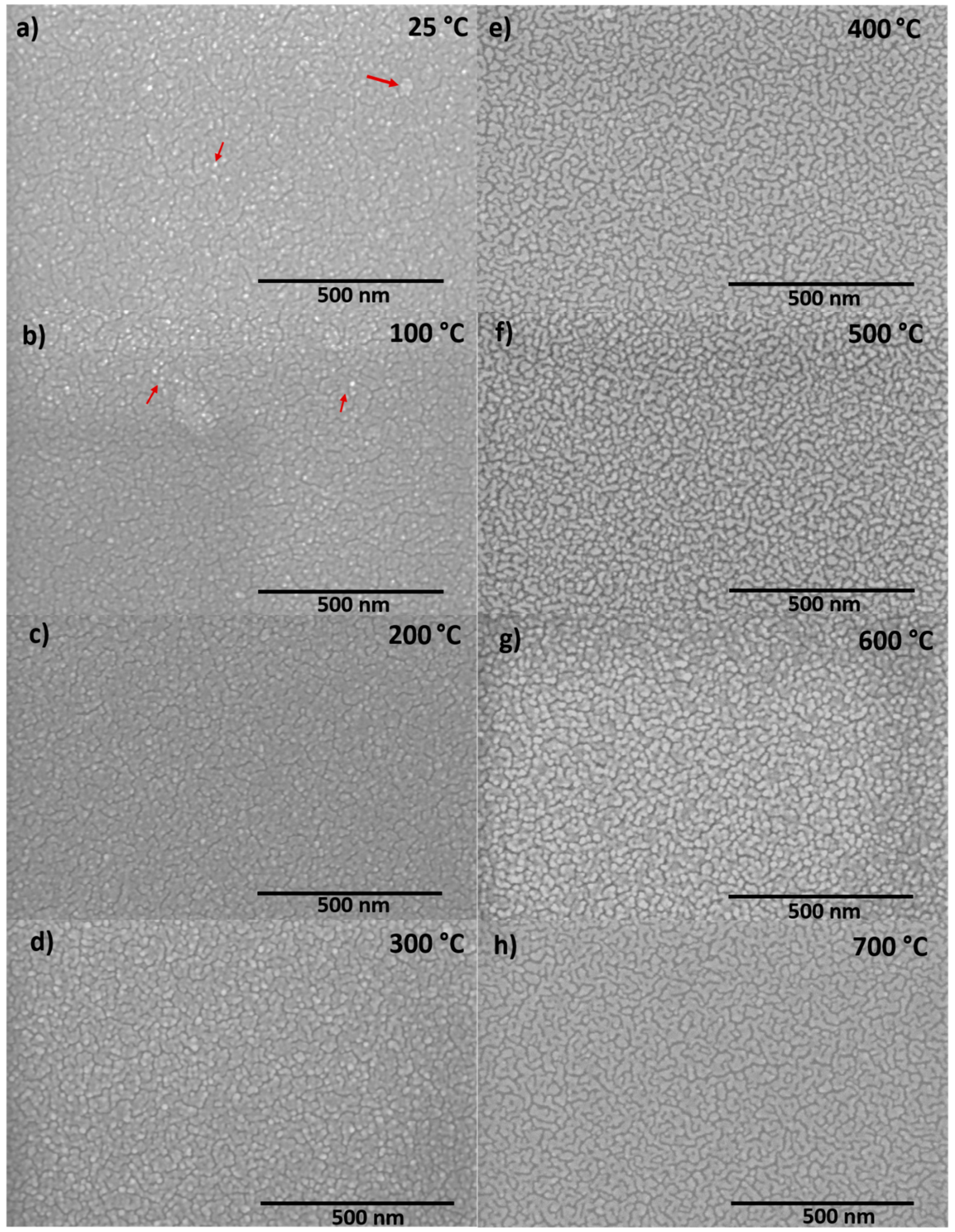 Nanomaterials 10 01287 g004 Nanomaterials 10 01287 g004