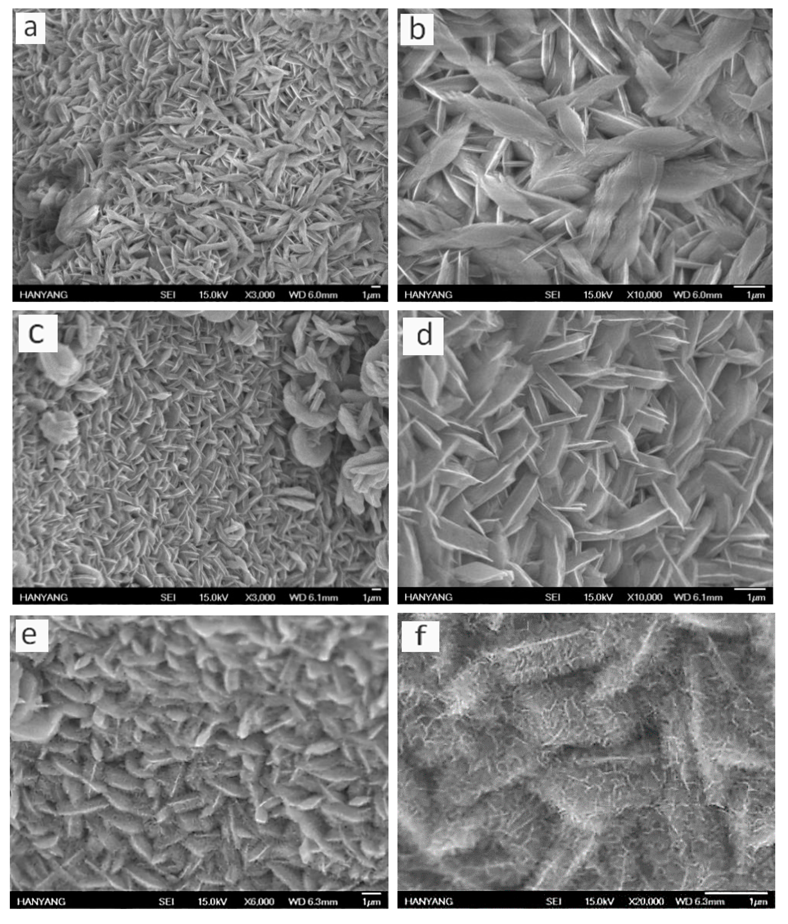 Nanomaterials 10 01292 g003