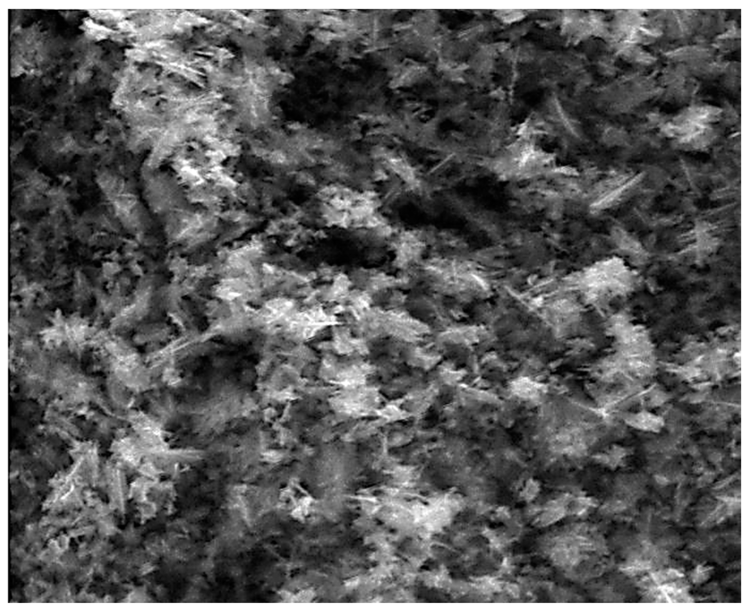 Nanomaterials 10 01321 g004a