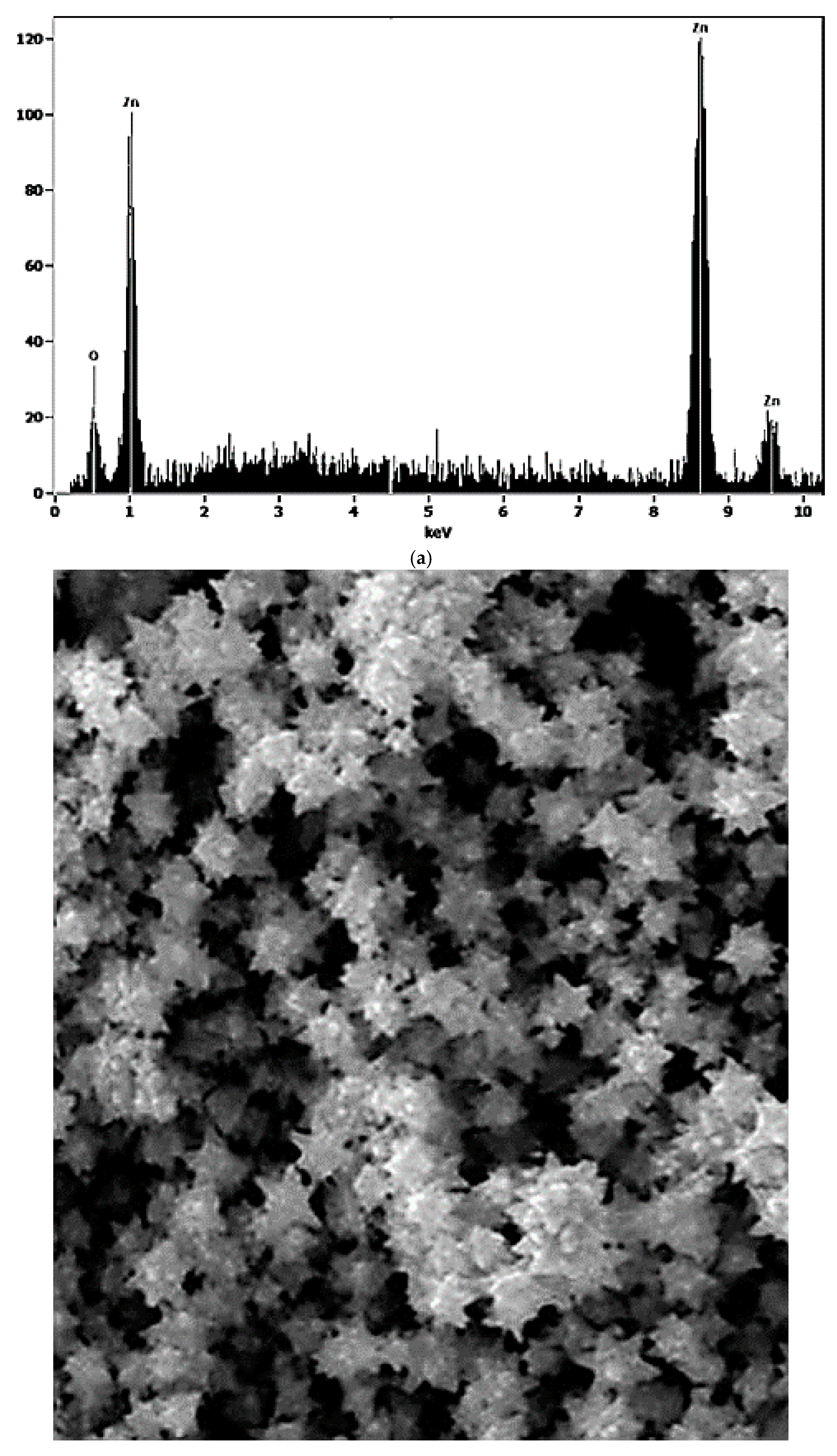 Nanomaterials 10 01321 g004b
