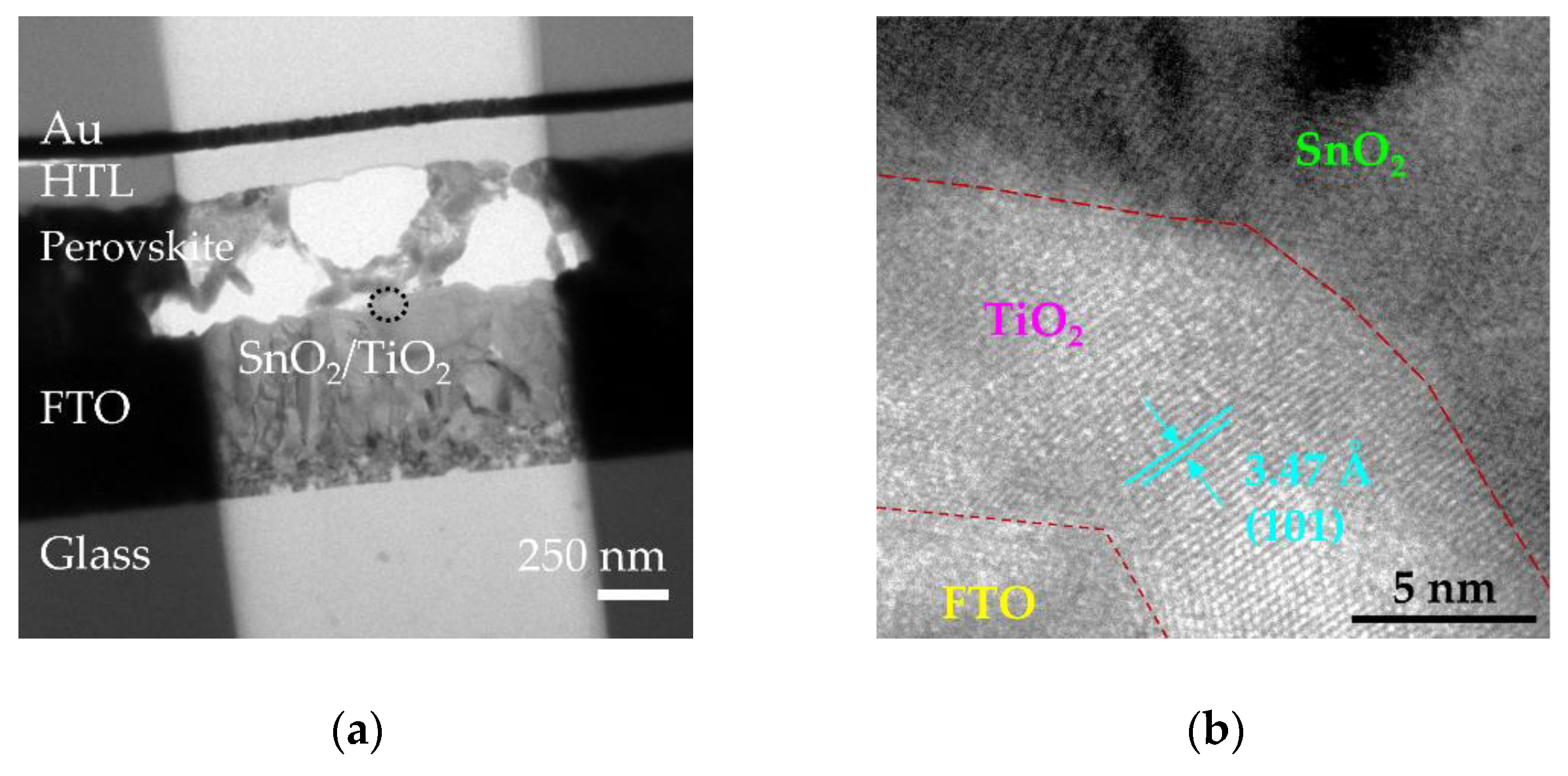 Nanomaterials 10 01322 g009
