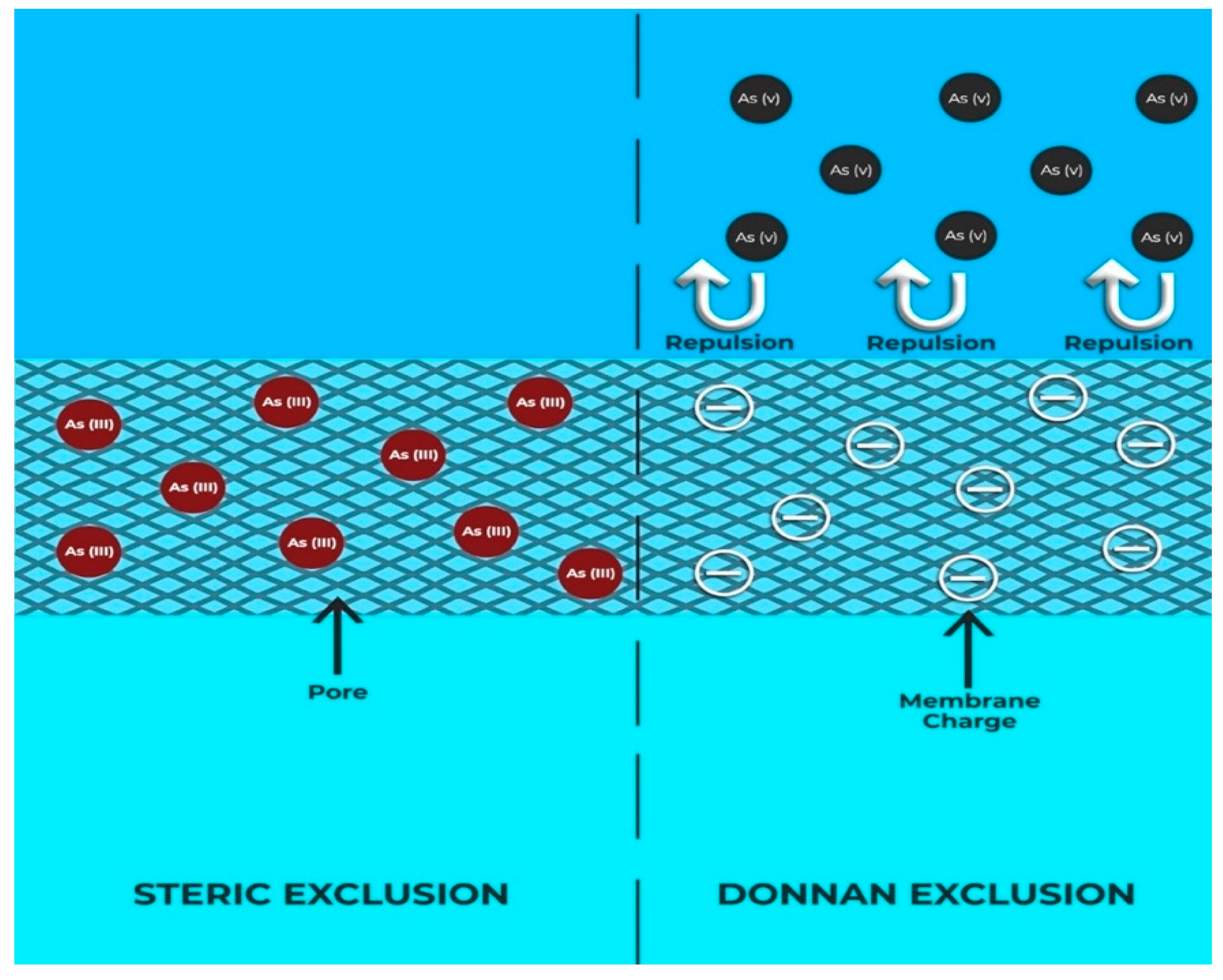 Nanomaterials 10 01323 g008