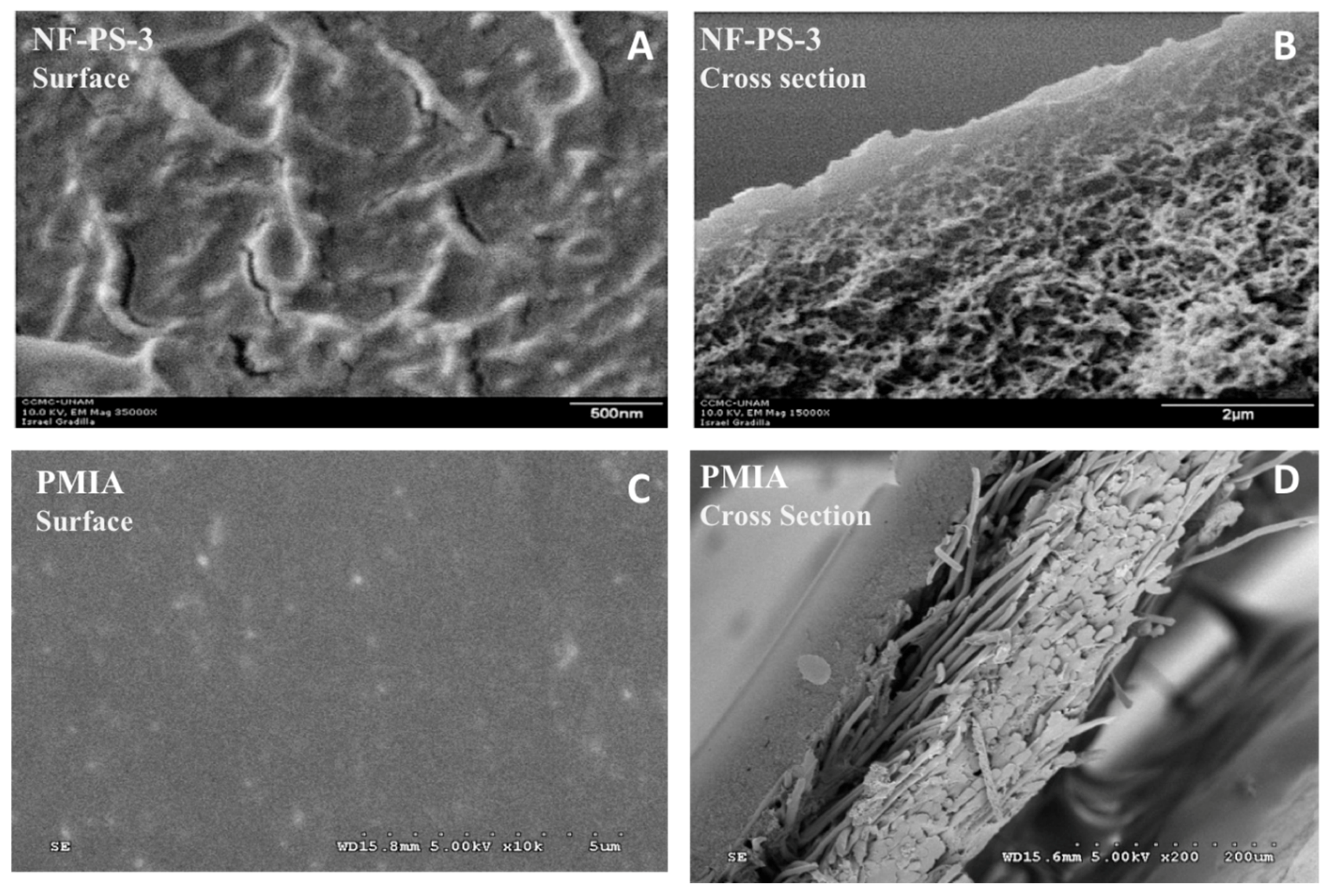 Nanomaterials 10 01323 g009