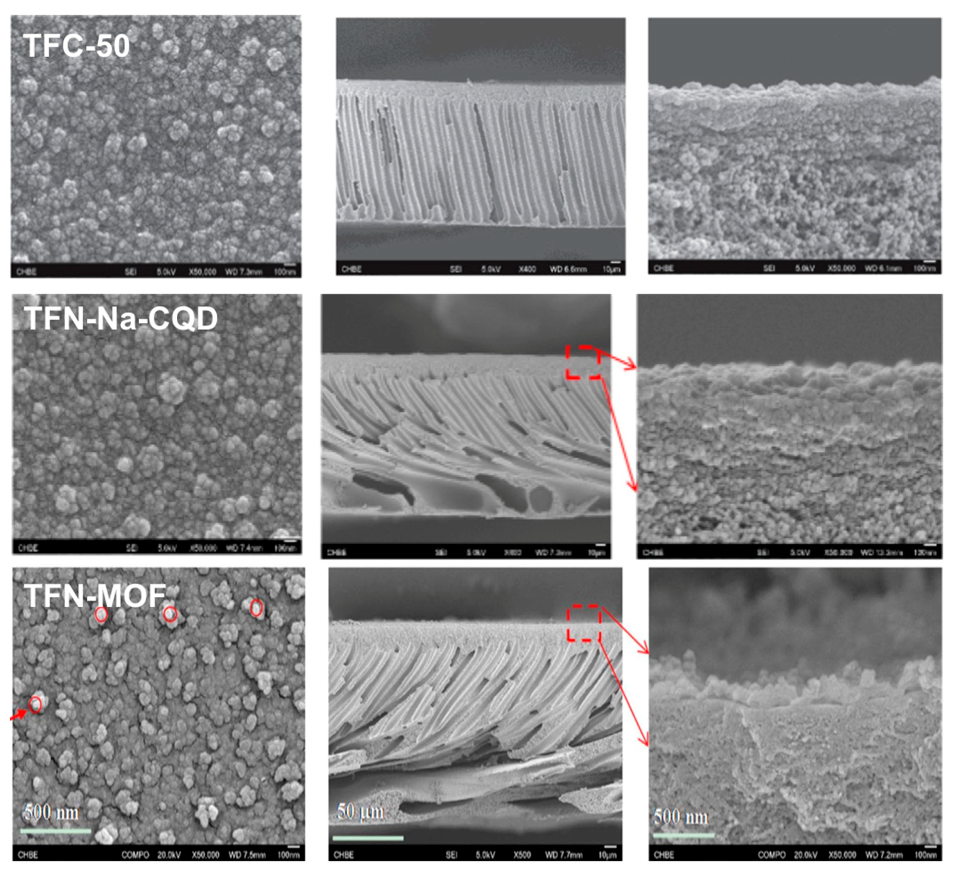 Nanomaterials 10 01323 g010