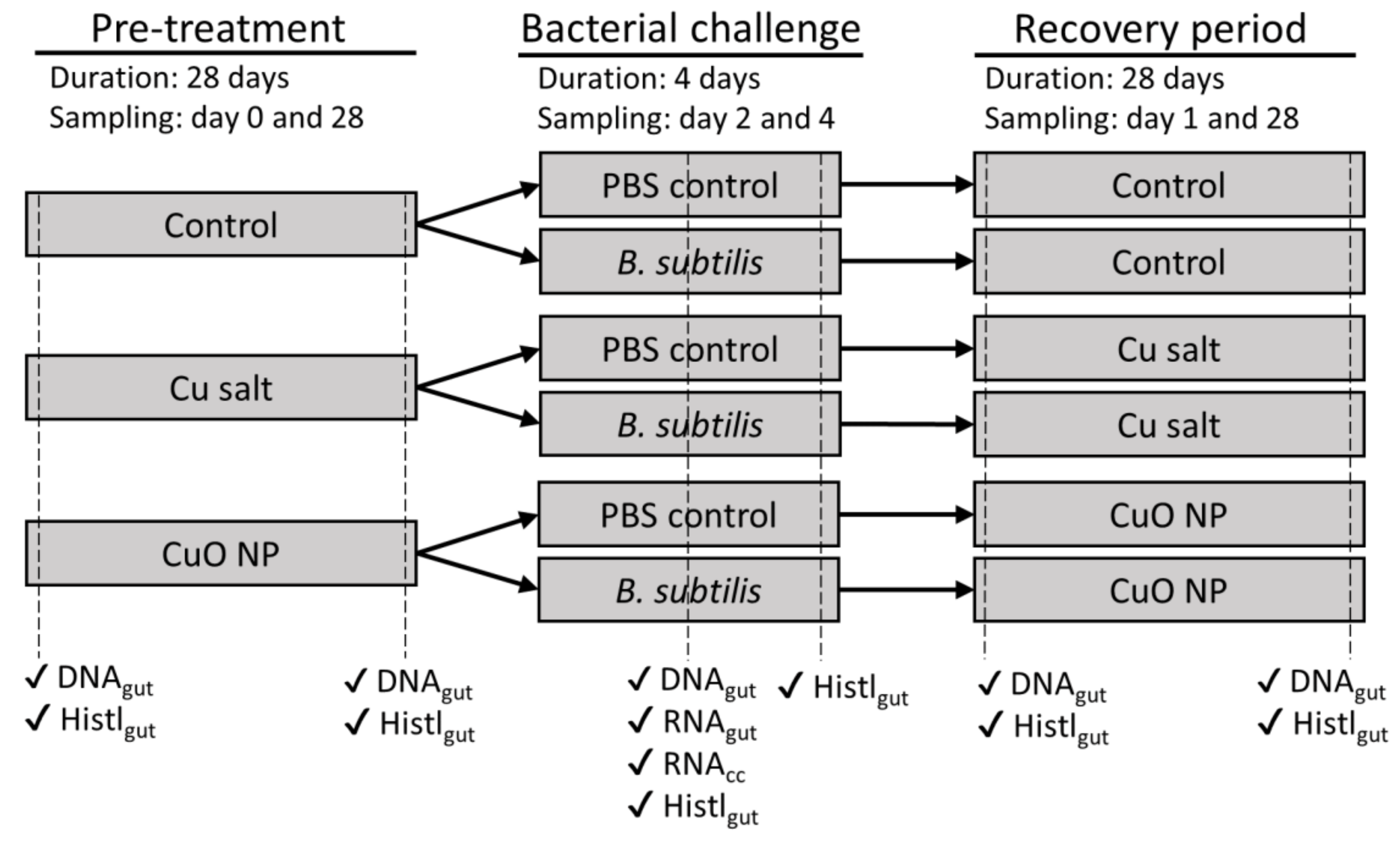 Nanomaterials 10 01337 g001 Nanomaterials 10 01337 g001