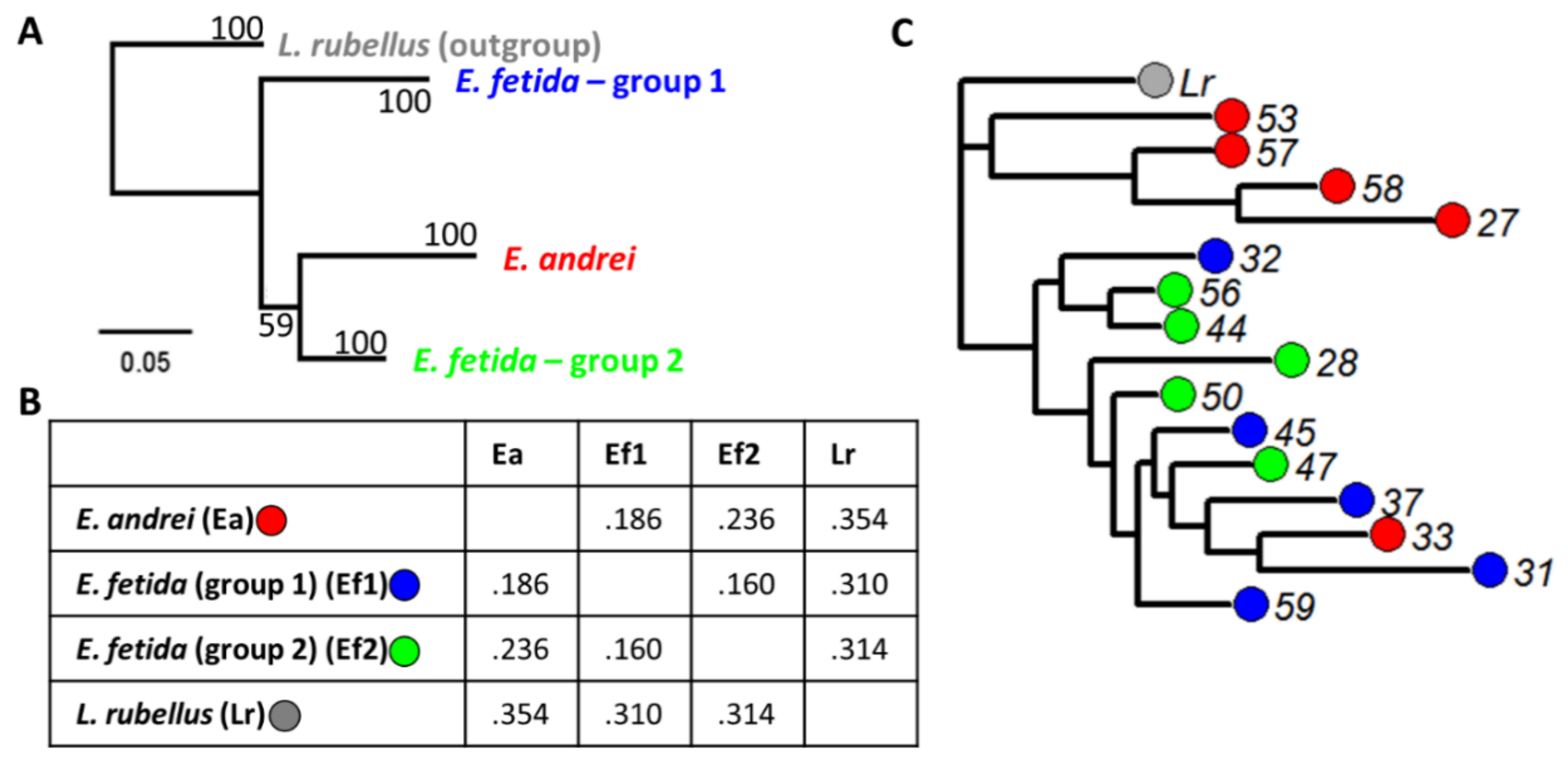 Nanomaterials 10 01337 g002 Nanomaterials 10 01337 g002