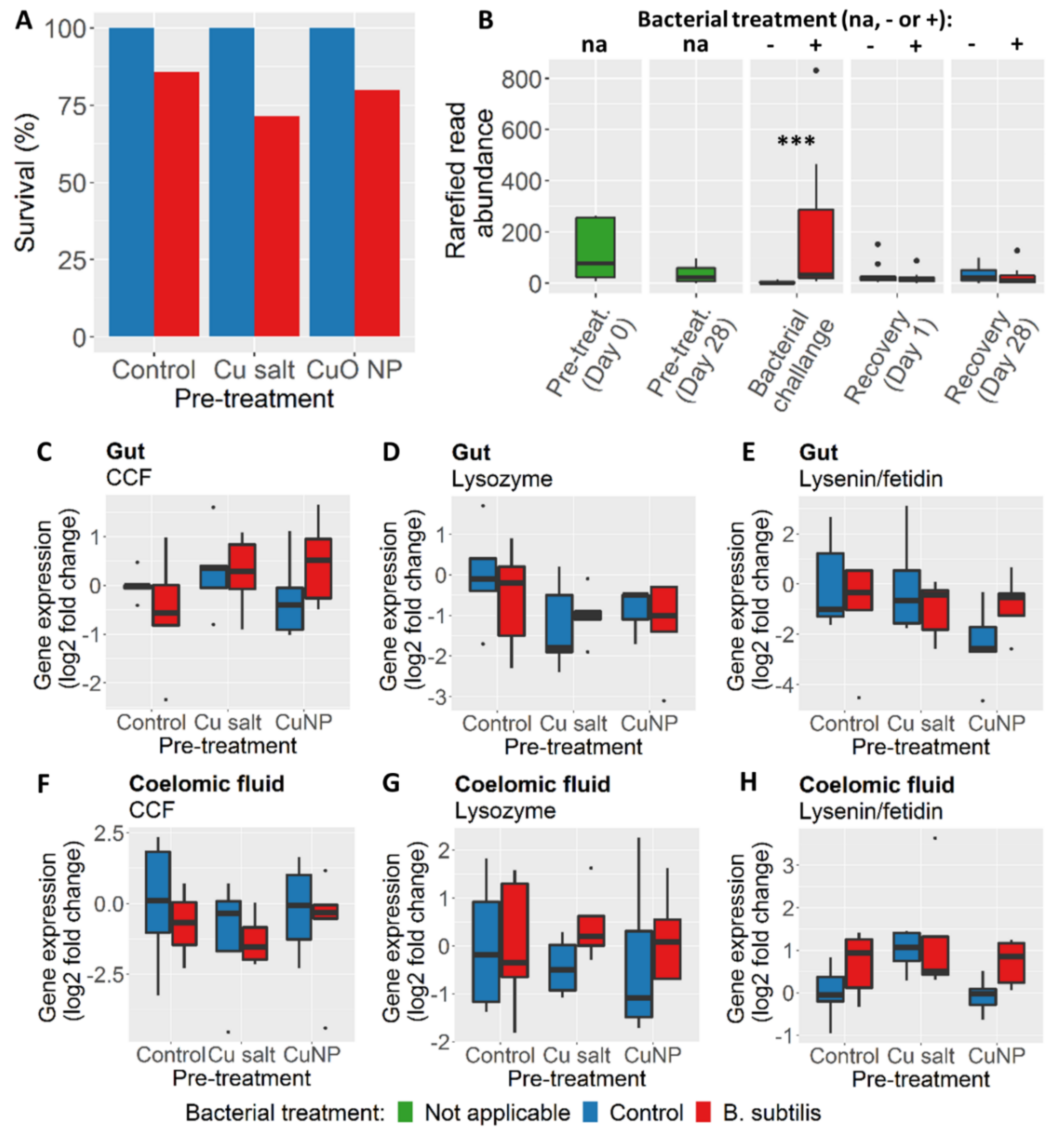 Nanomaterials 10 01337 g005 Nanomaterials 10 01337 g005