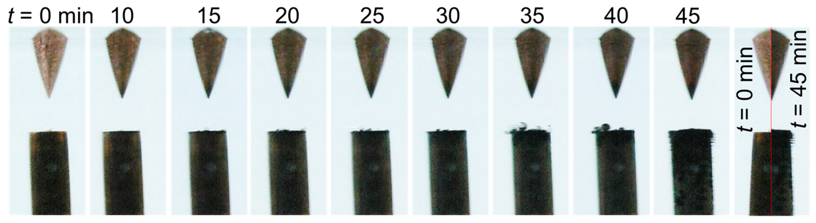 Nanomaterials 10 01347 g004